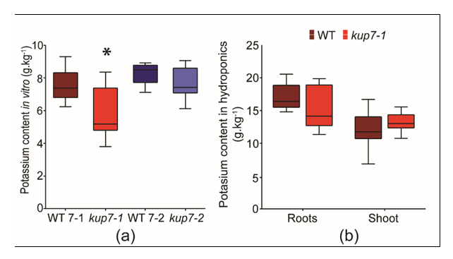 Plants 09 01525 g004 Plants 09 01525 g004
