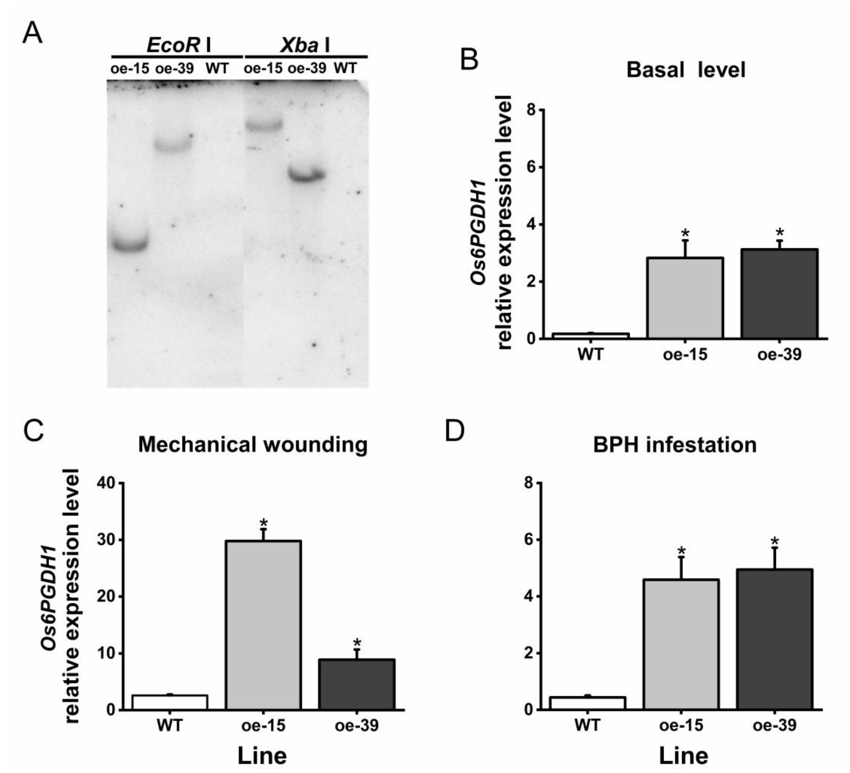 Plants 09 01529 g004