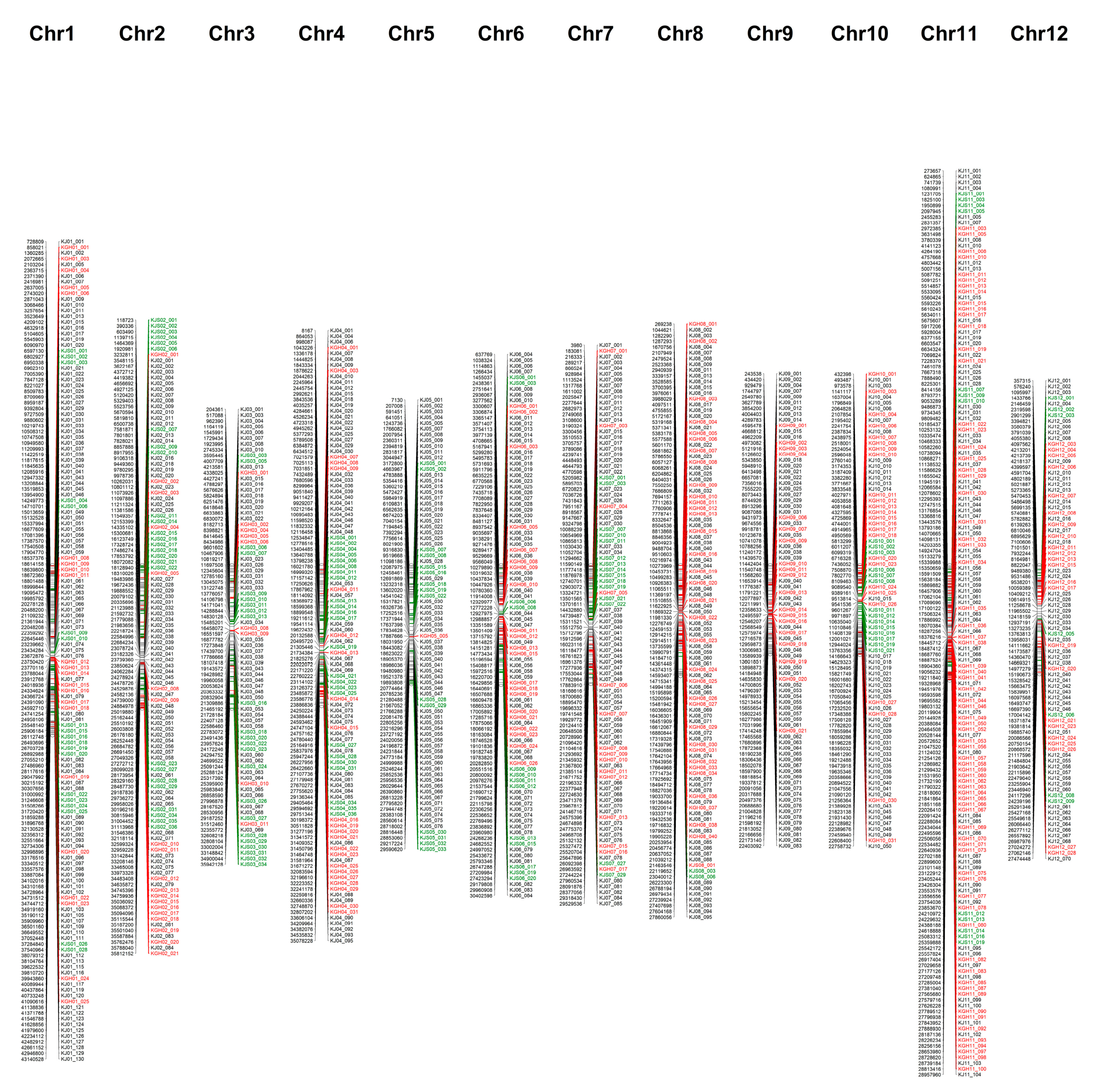 Plants 09 01531 g001 Plants 09 01531 g001