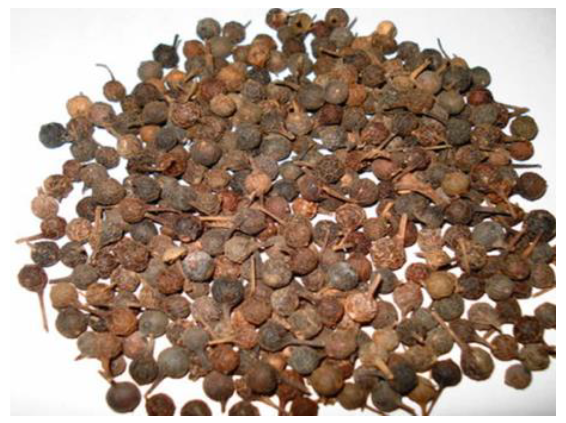 Plants 09 01534 g004