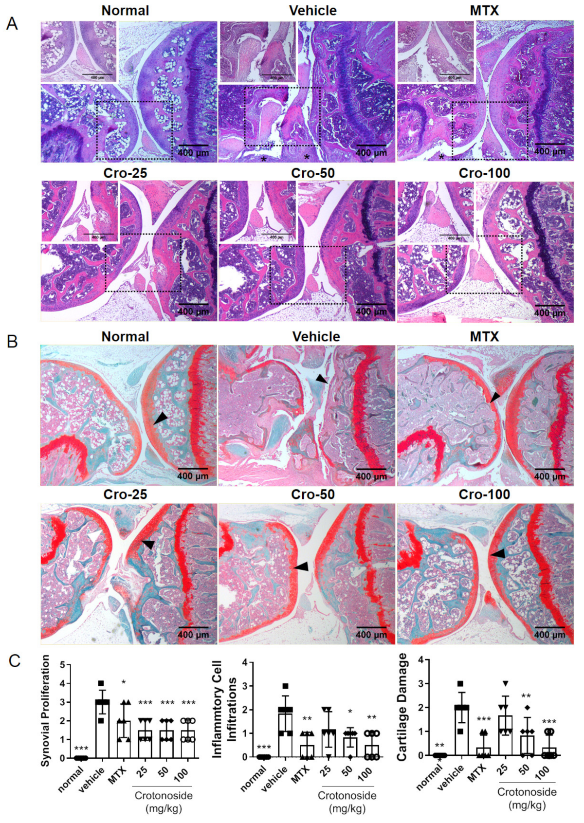 Plants 09 01535 g002 Plants 09 01535 g002