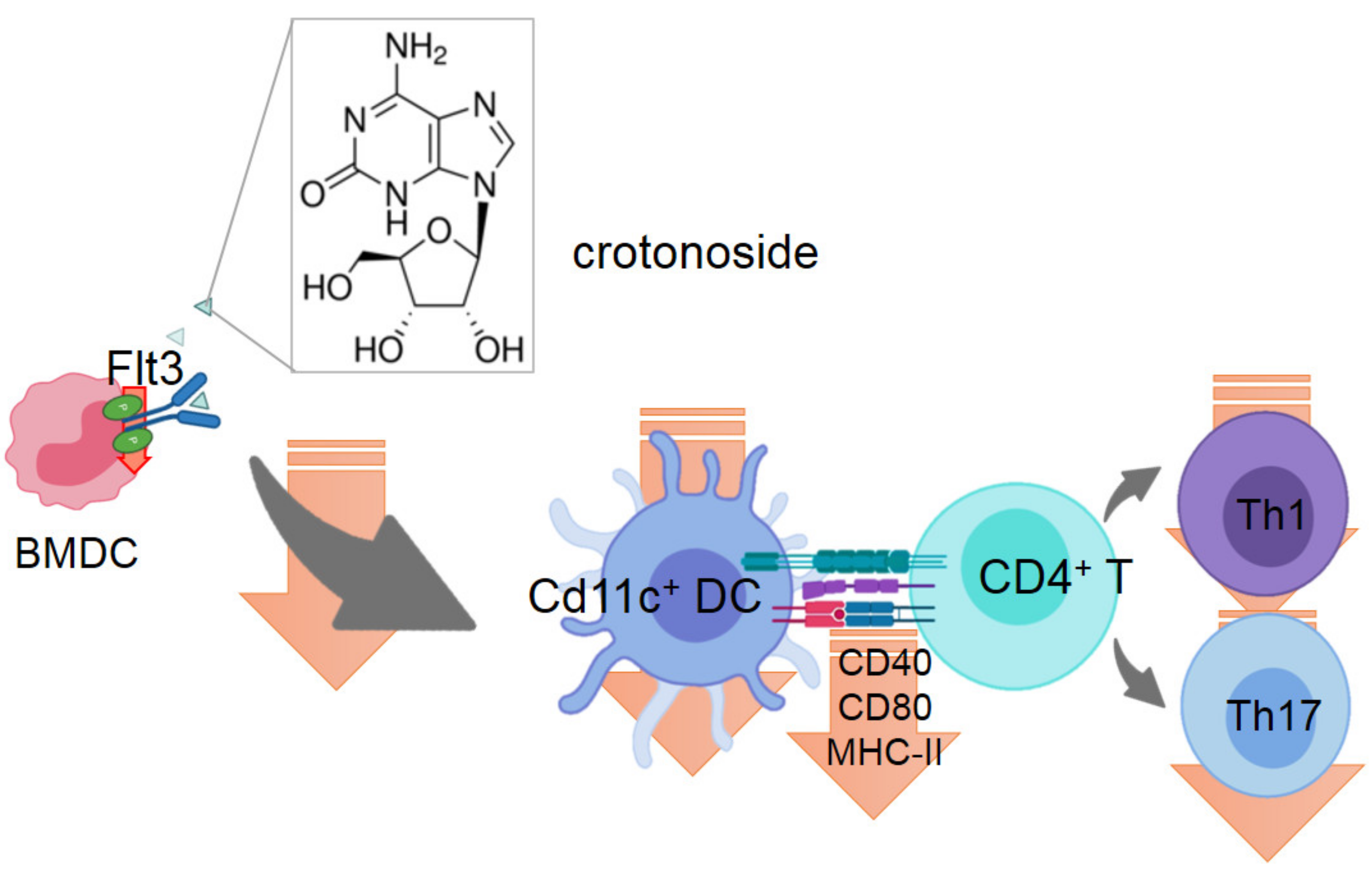 Plants 09 01535 g009 Plants 09 01535 g009