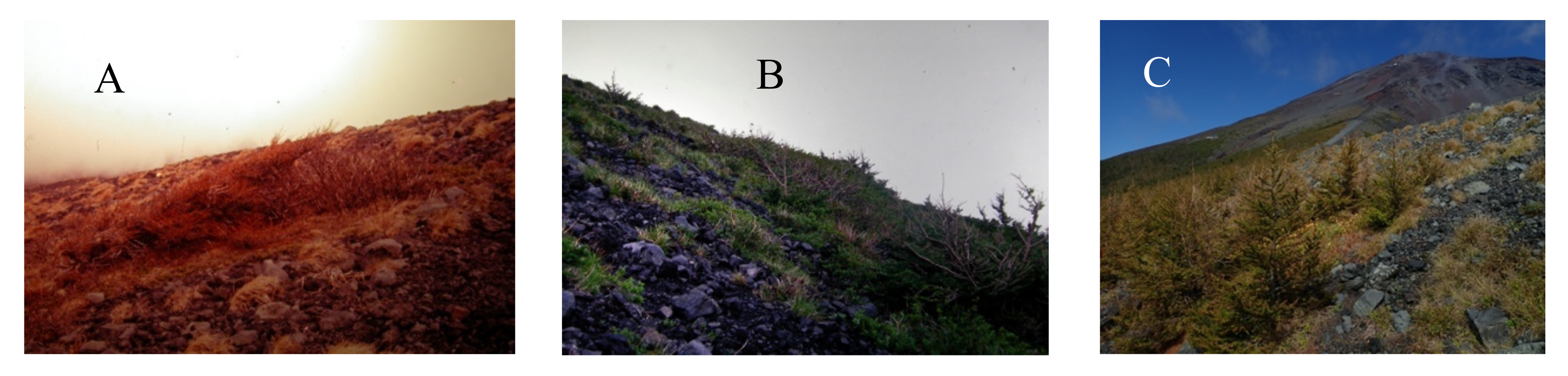 Plants 09 01537 g008