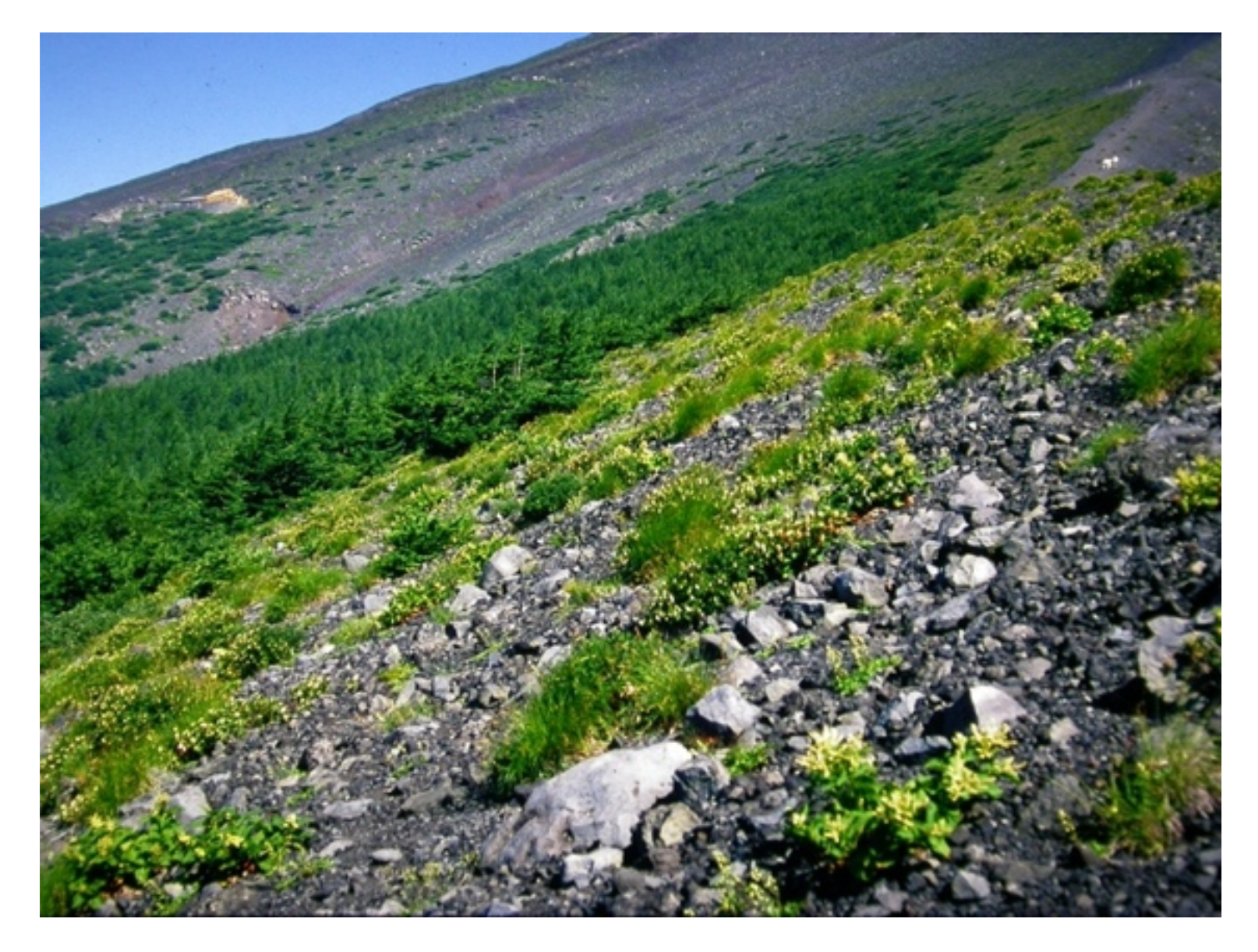 Plants 09 01537 g010