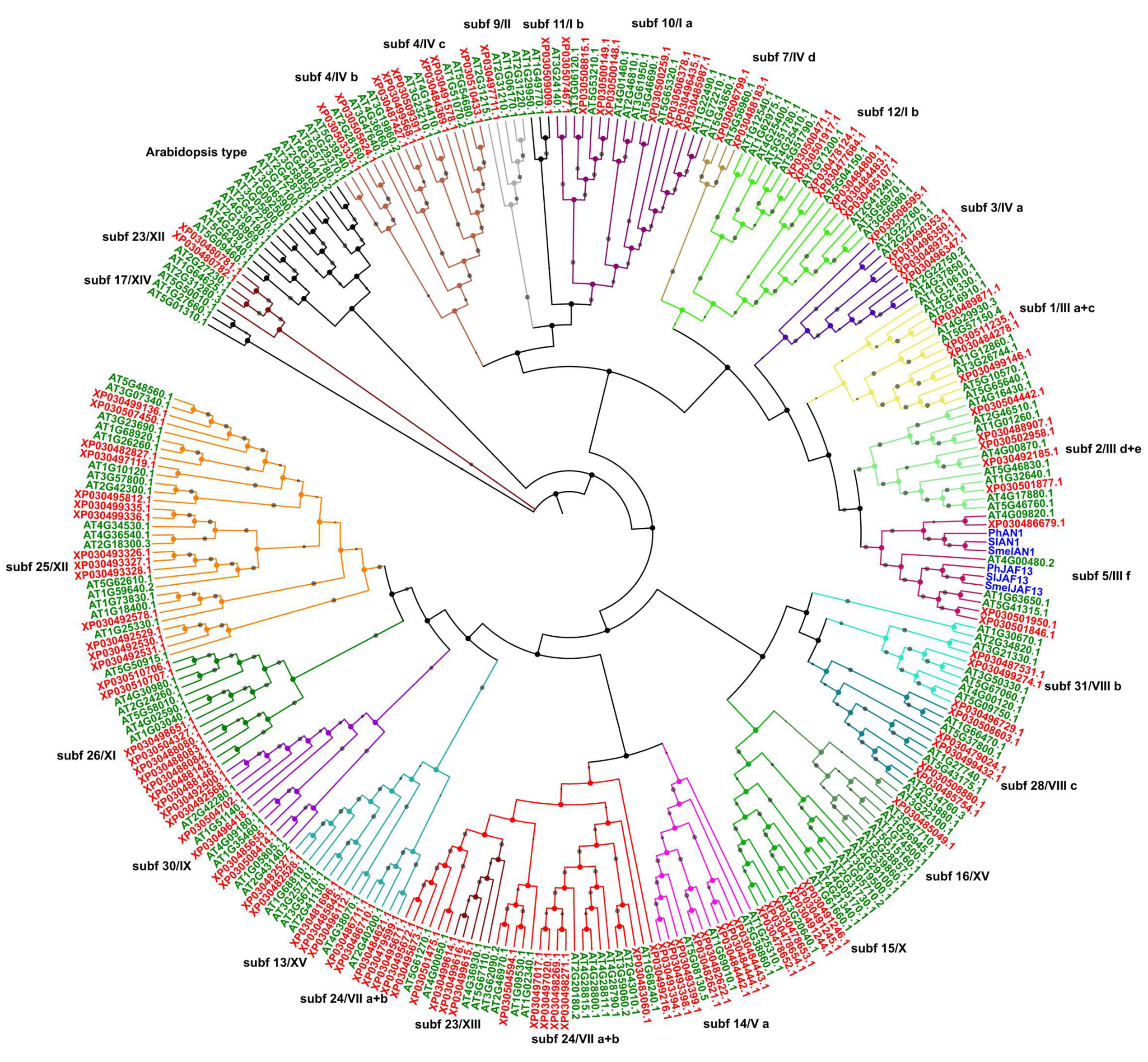 Plants 09 01540 g001