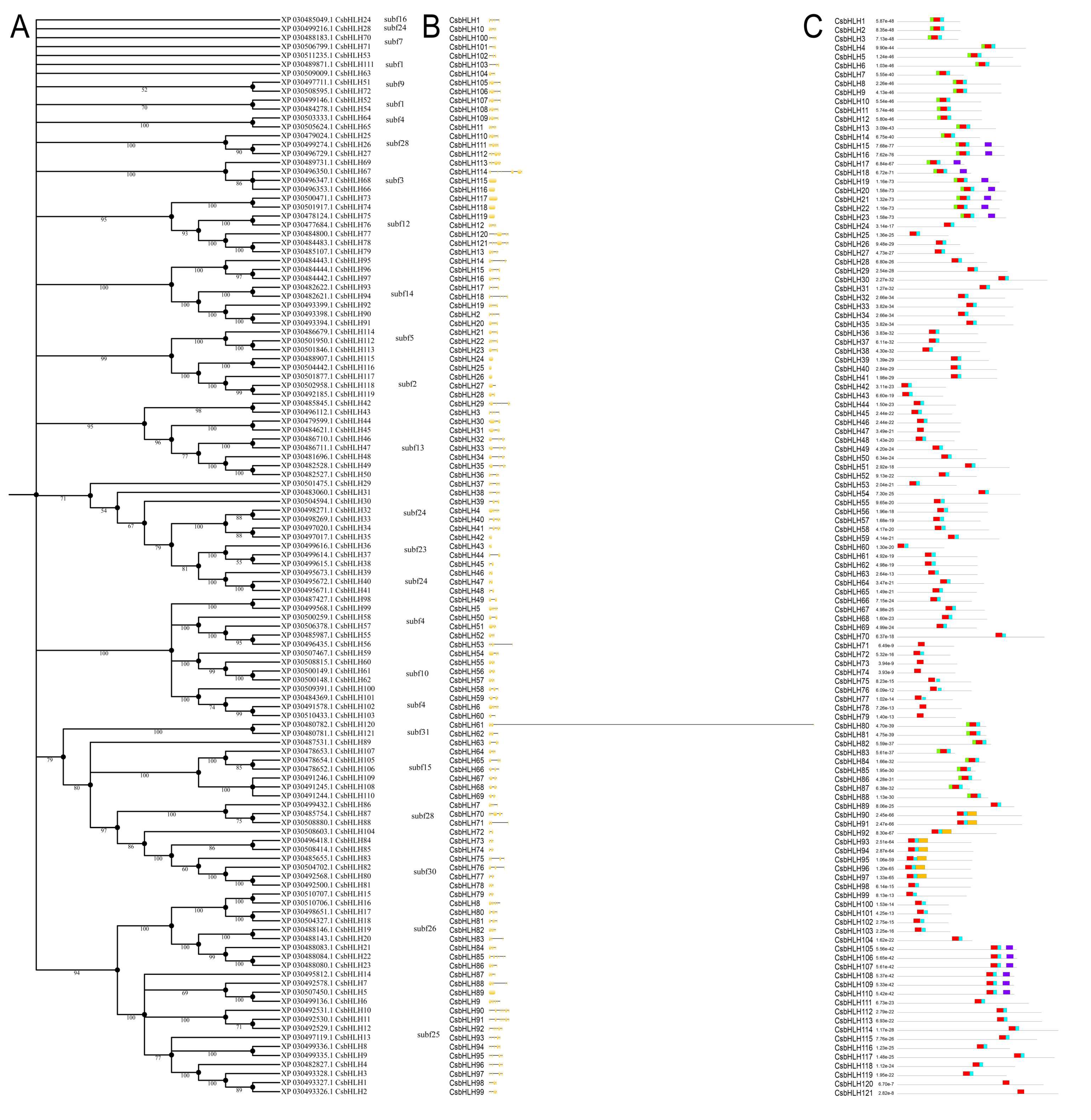 Plants 09 01540 g002