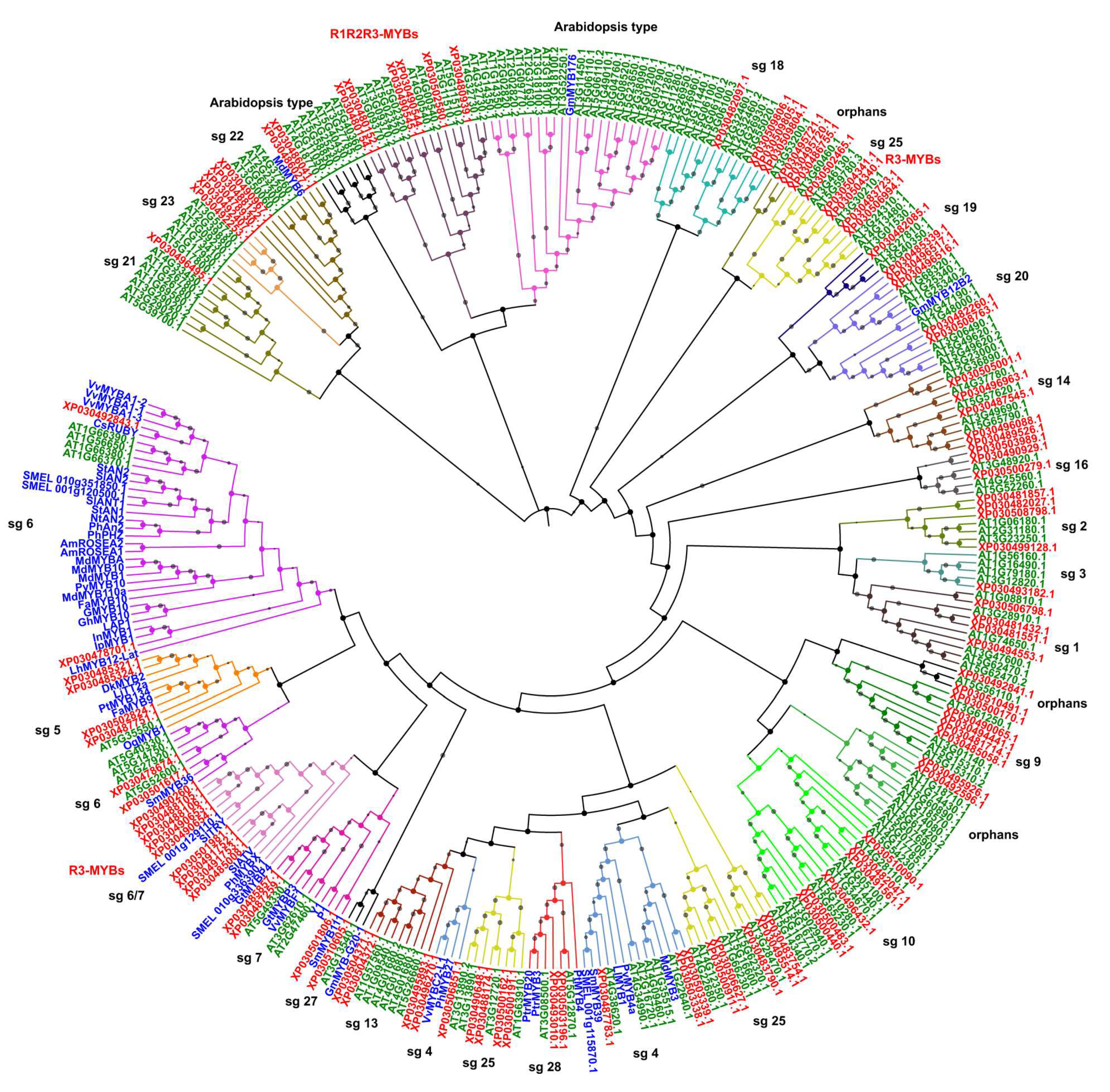 Plants 09 01540 g004