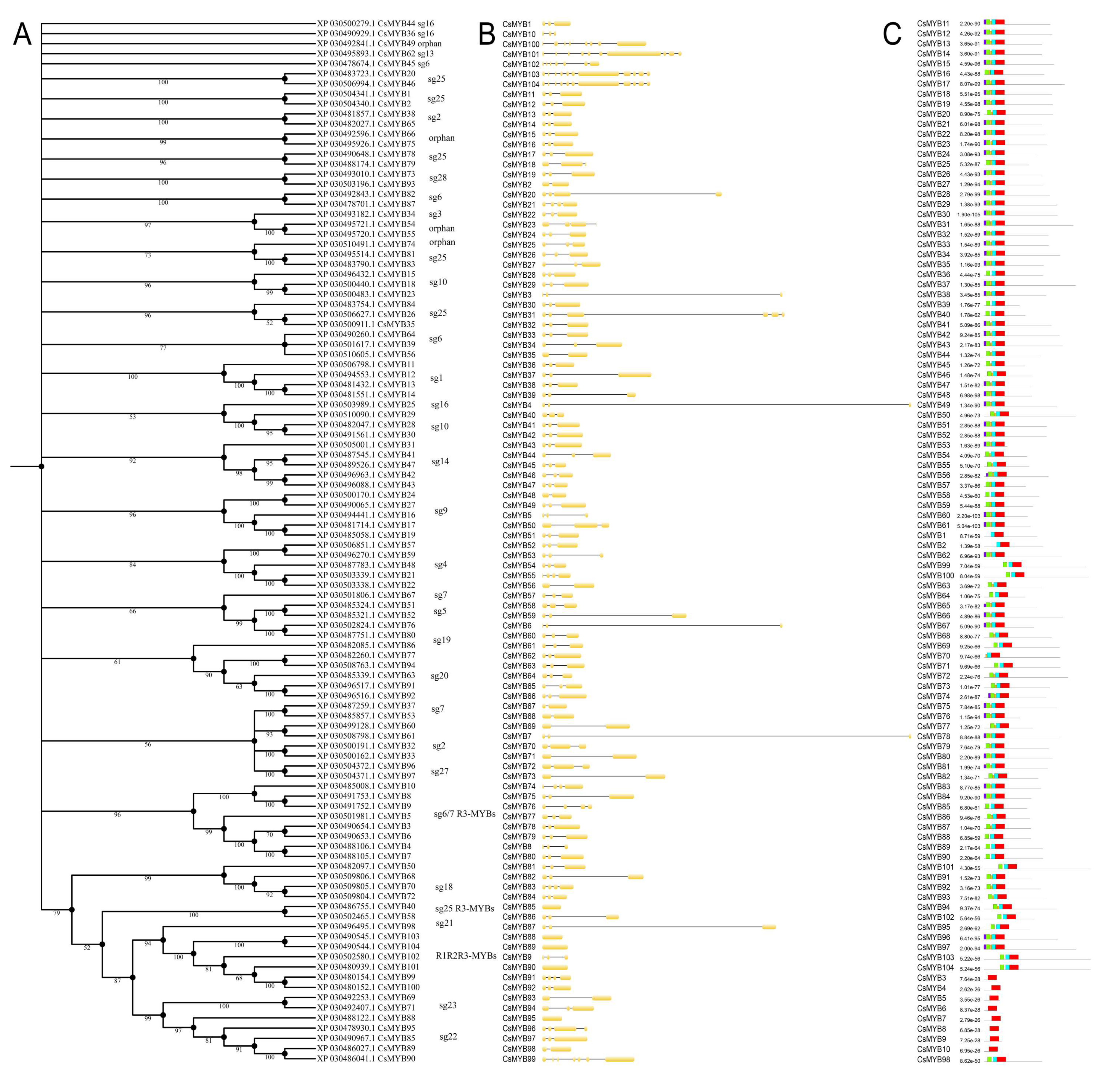 Plants 09 01540 g005