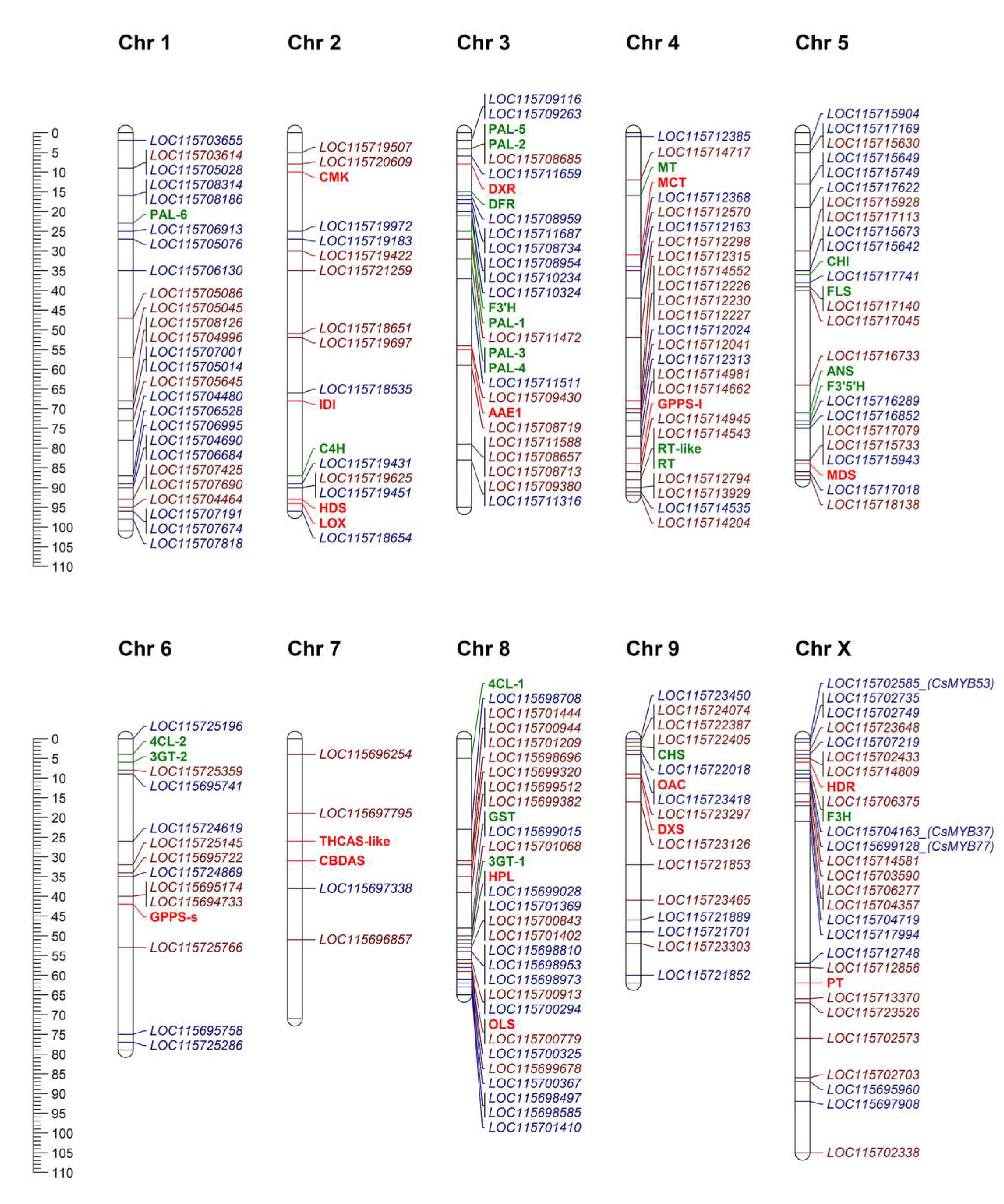 Plants 09 01540 g007