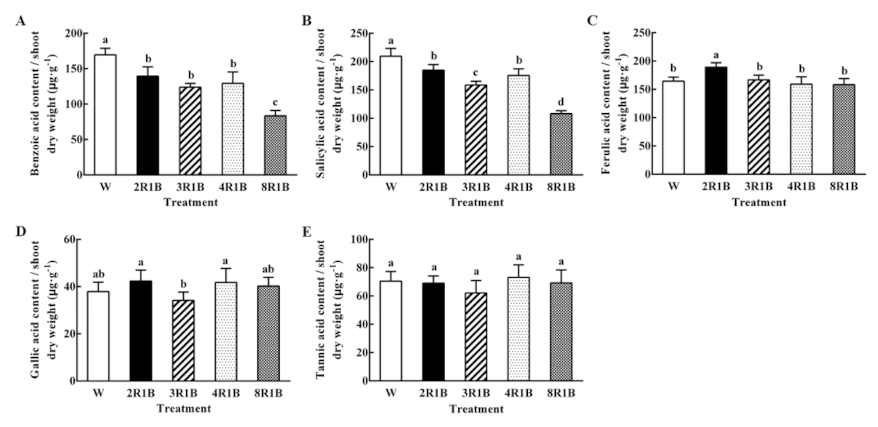 Plants 09 01542 g007 Plants 09 01542 g007