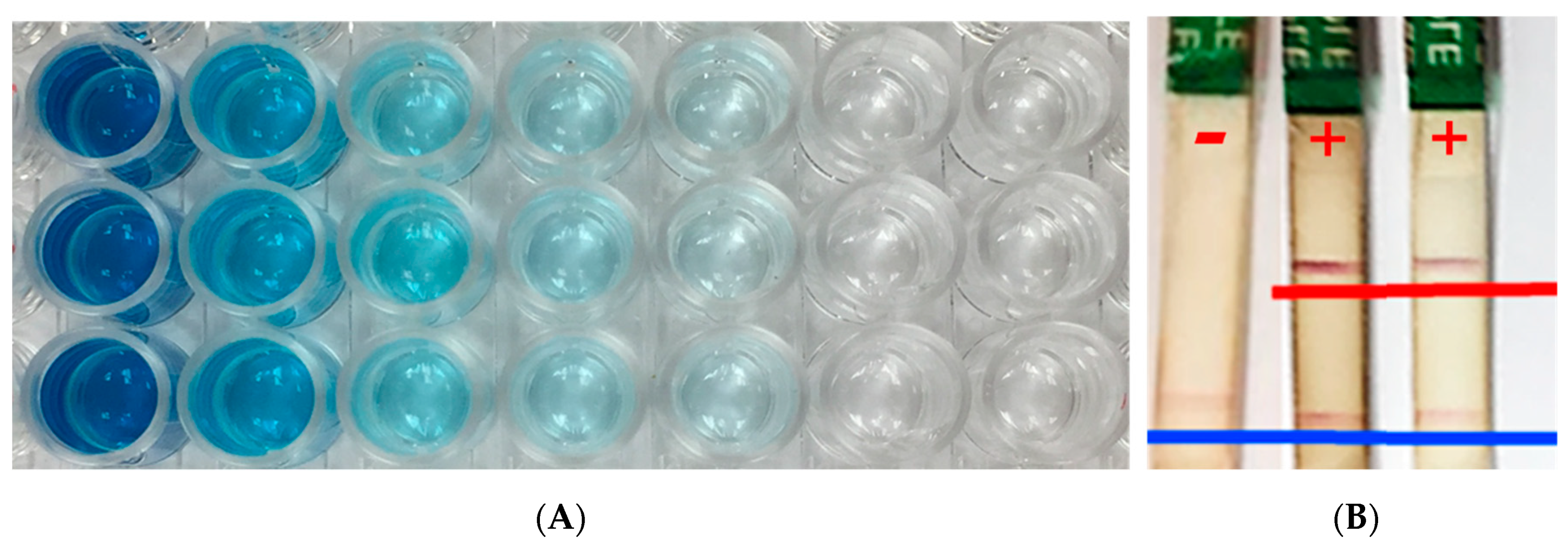 Plants 09 01544 g004