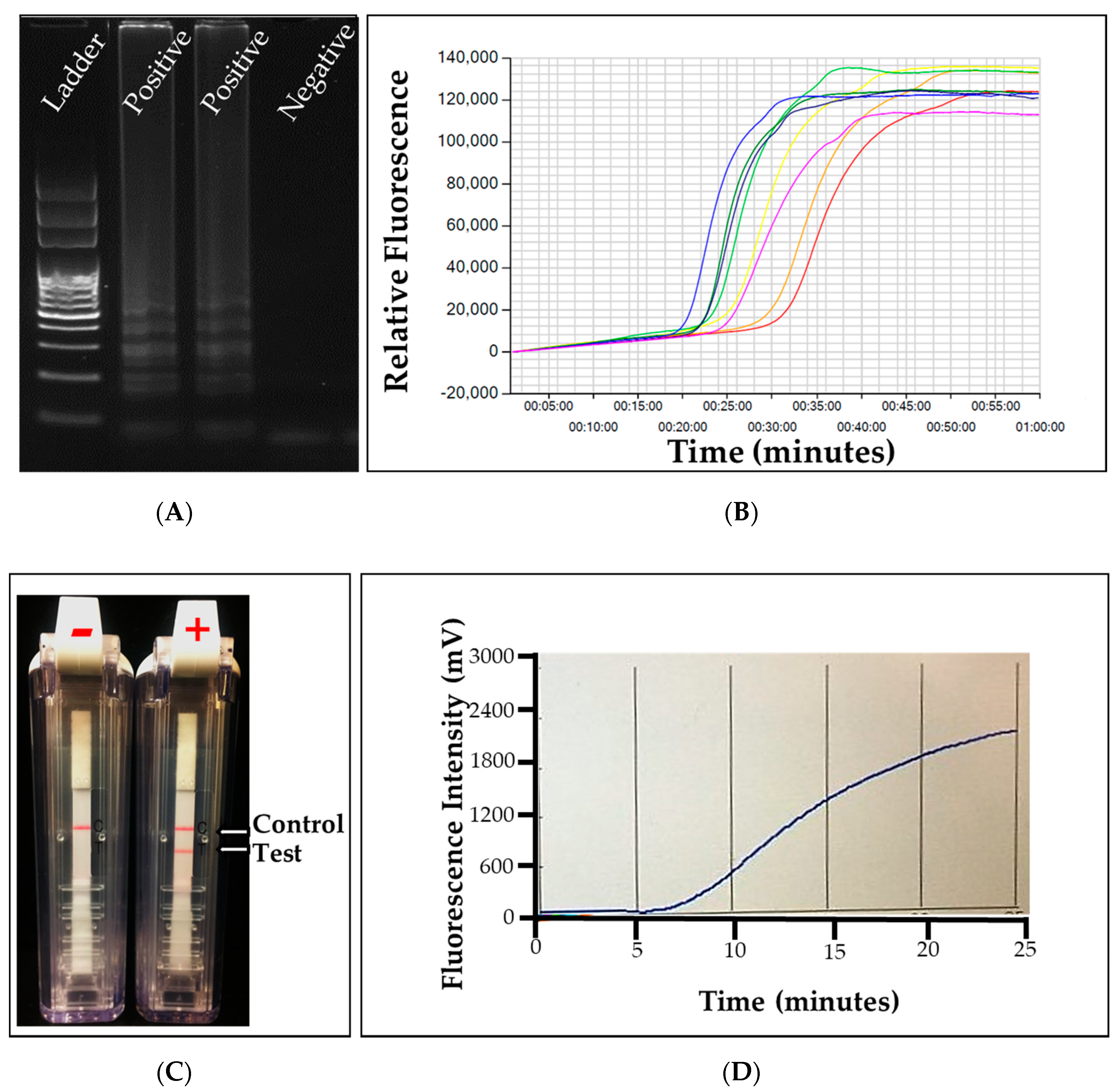 Plants 09 01544 g007