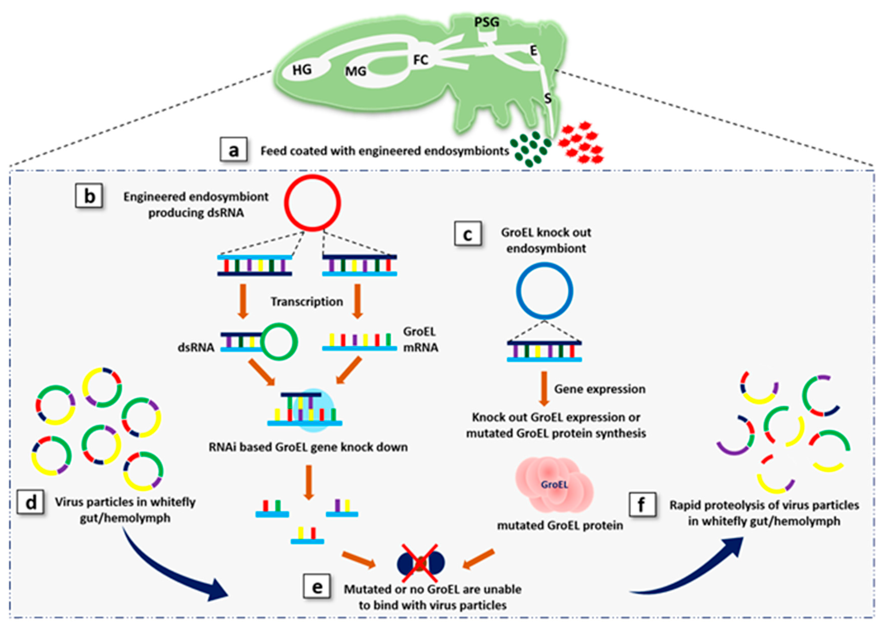 Plants 09 01556 g003