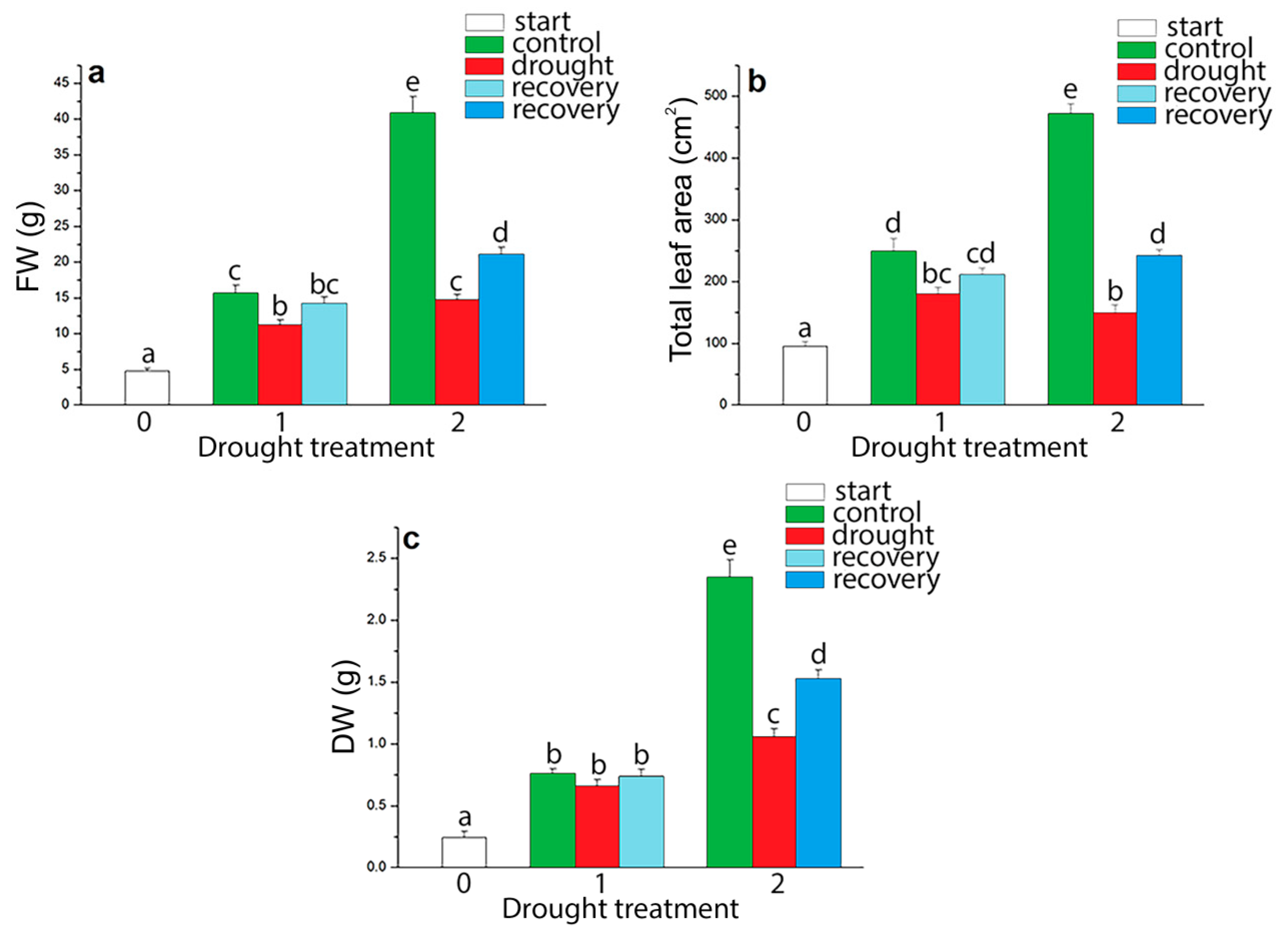 Plants 09 01559 g002