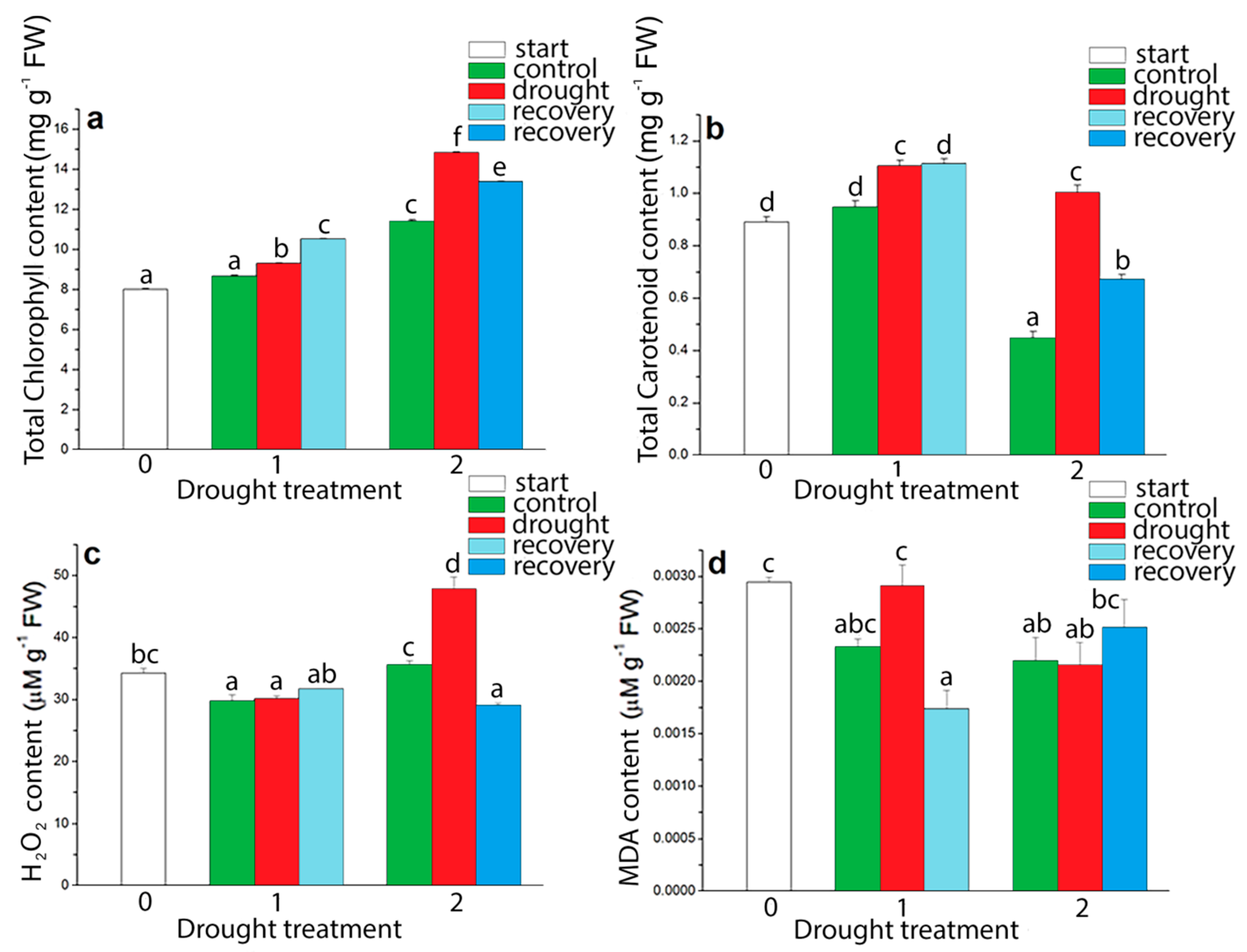 Plants 09 01559 g008