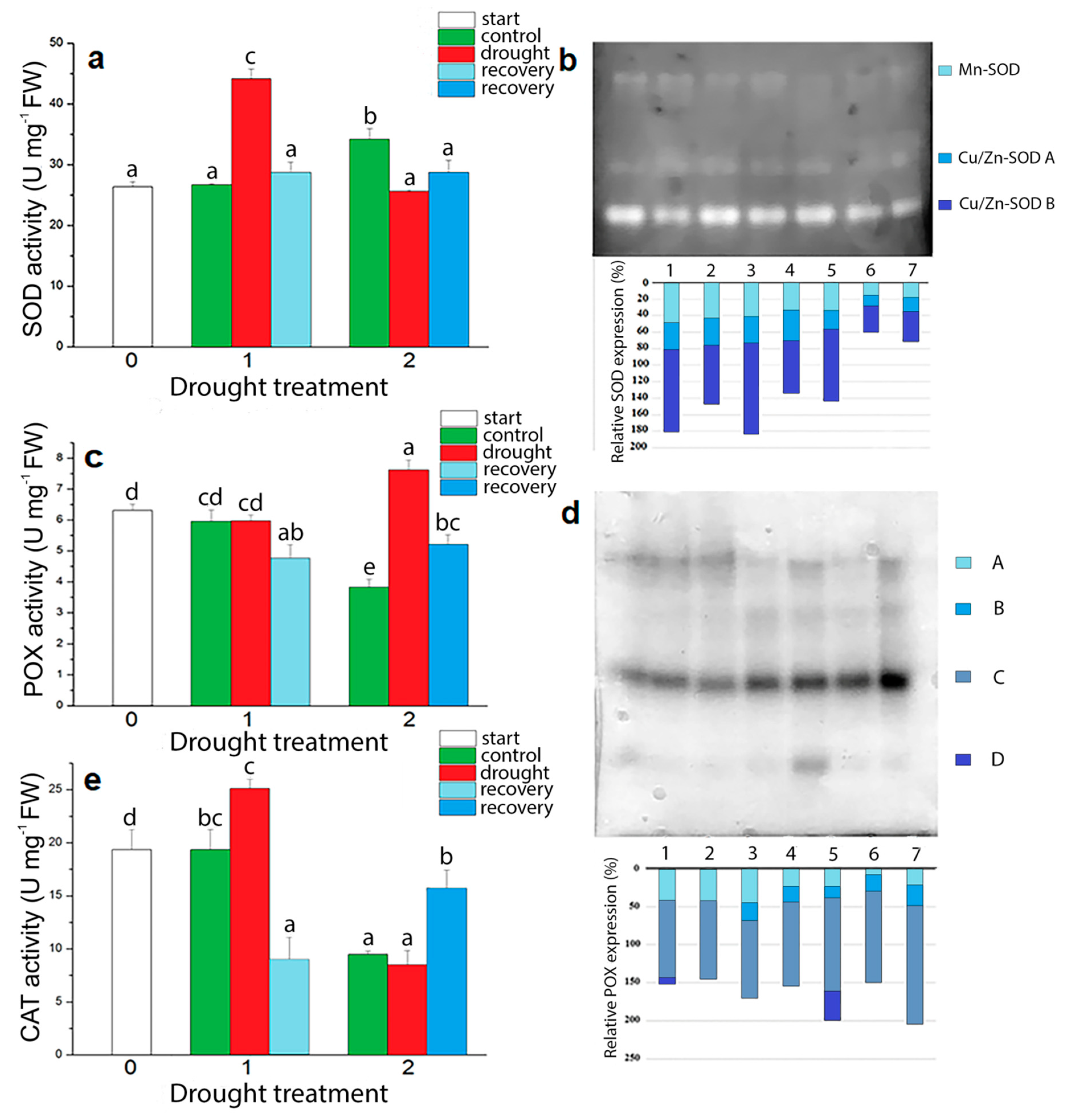 Plants 09 01559 g009