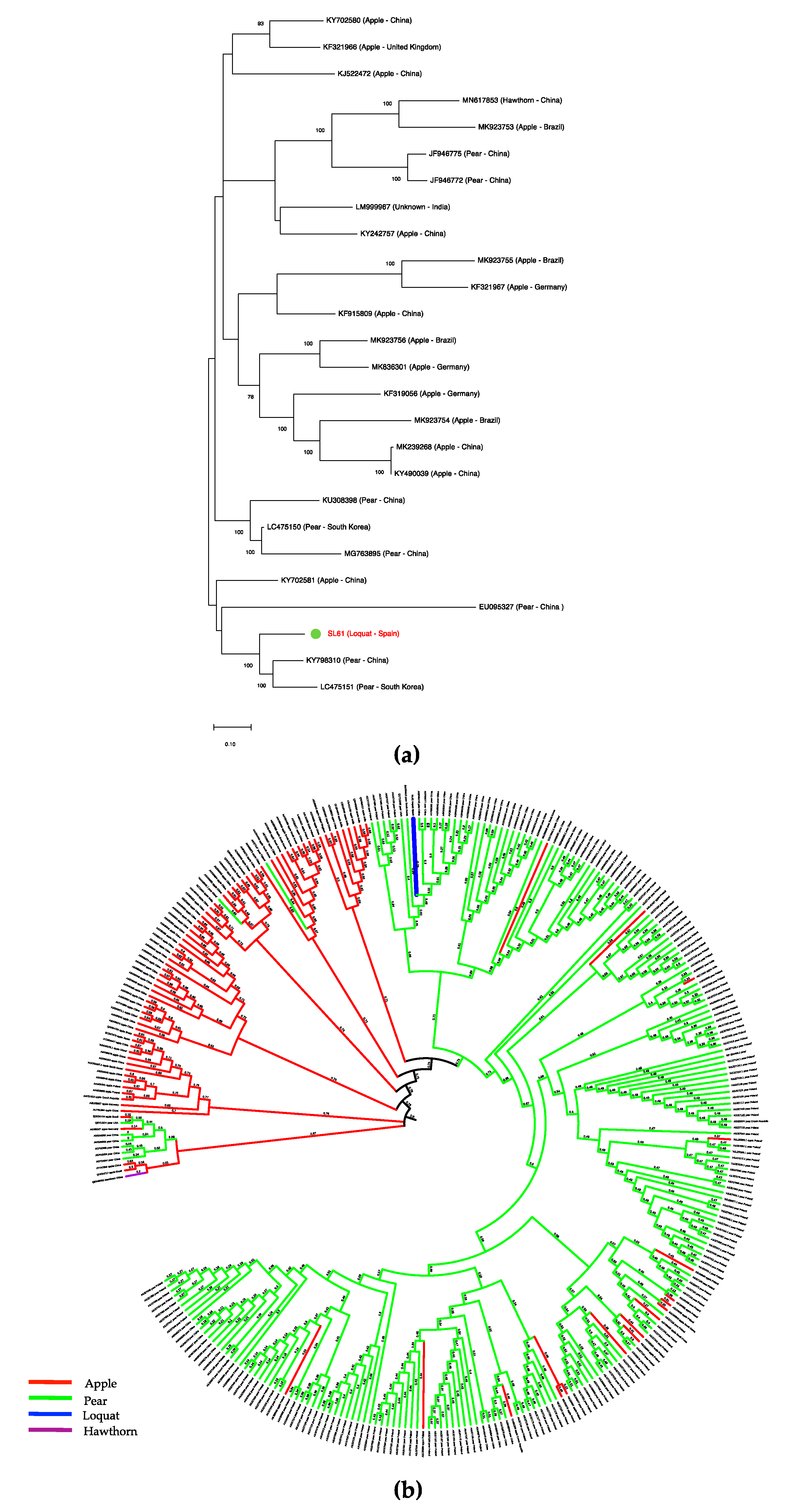 Plants 09 01560 g002