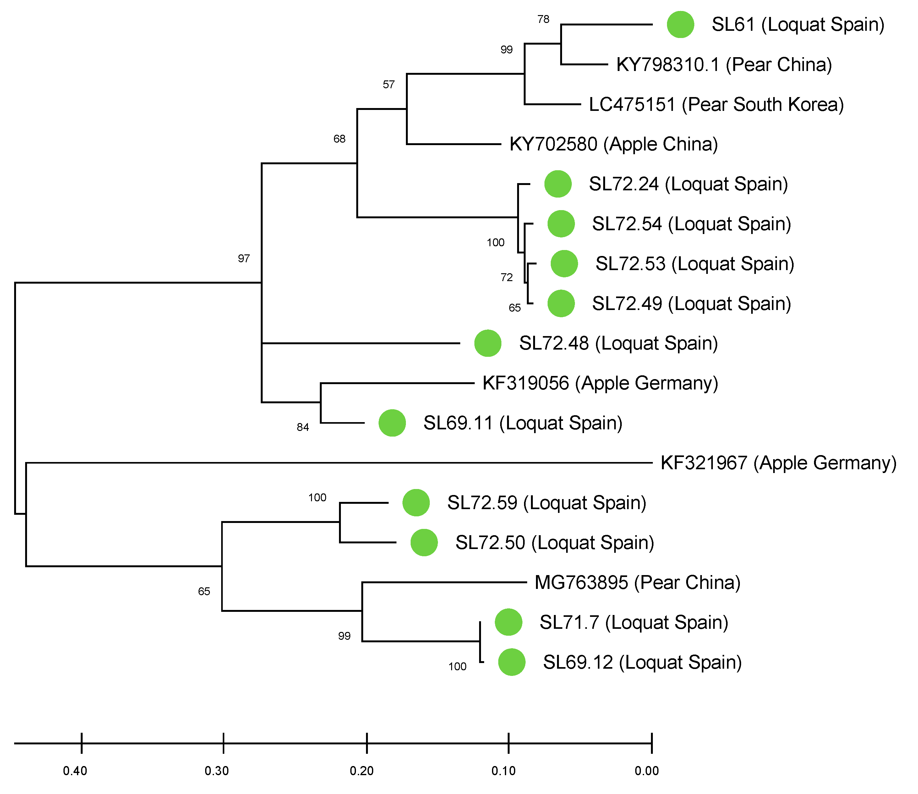 Plants 09 01560 g003