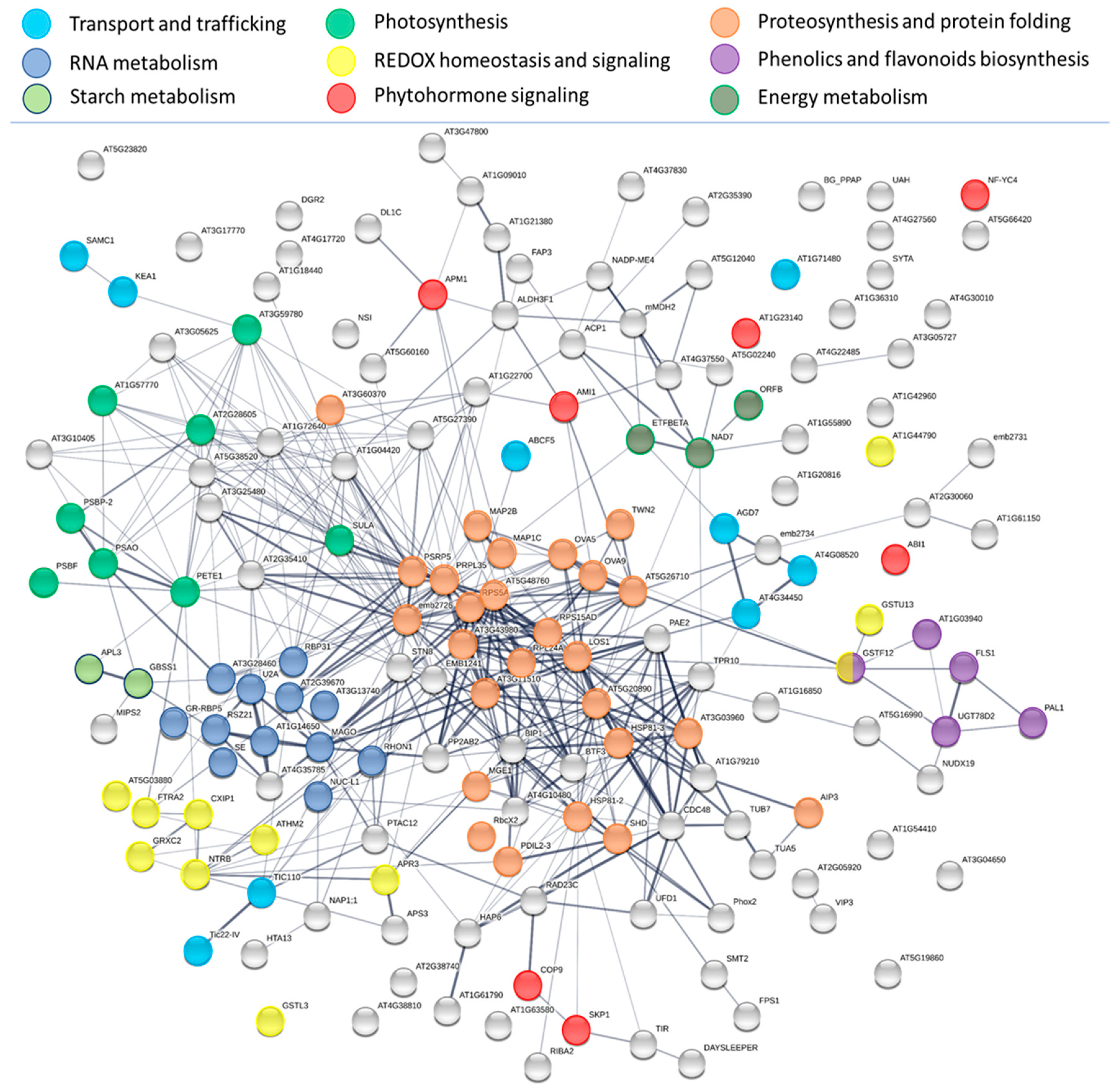 Plants 09 01563 g007