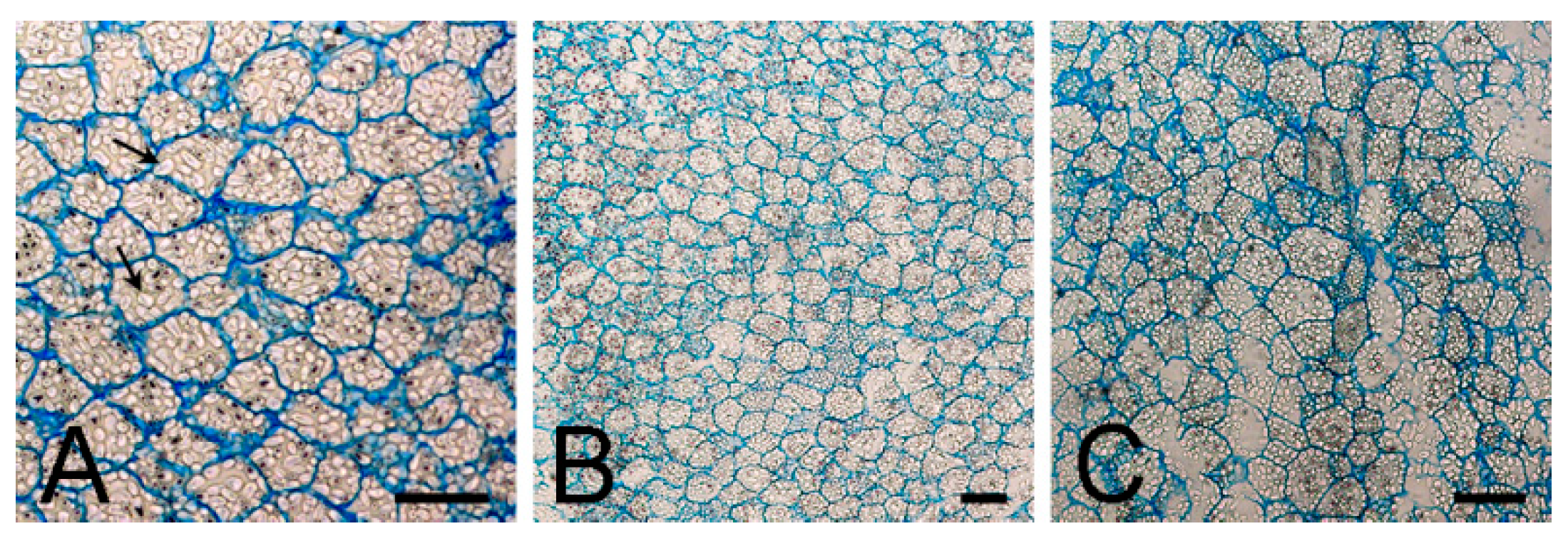 Plants 09 01573 g005 Plants 09 01573 g005