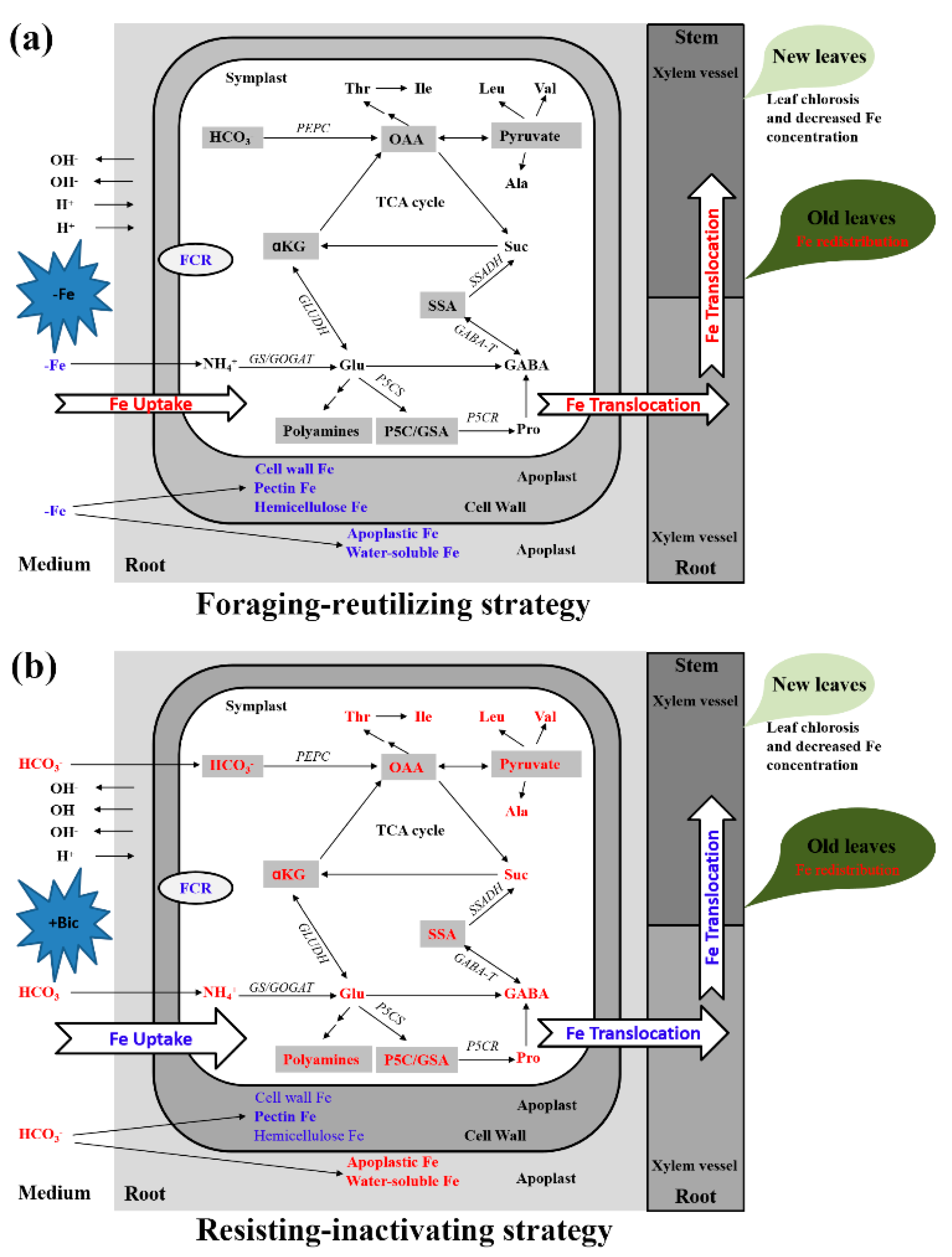 Plants 09 01578 g005