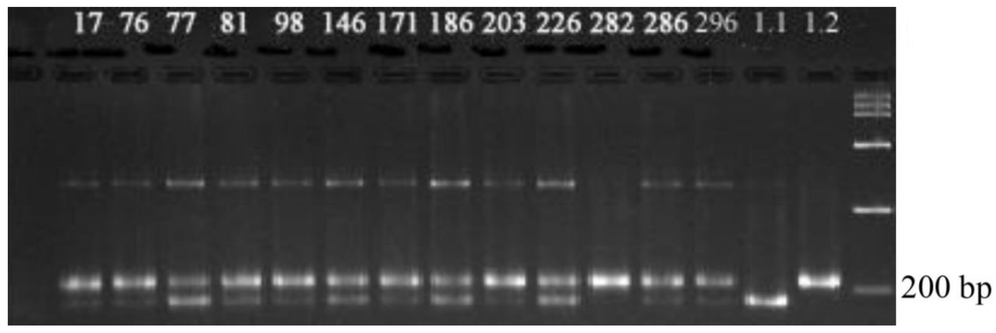 Plants 09 01580 g006