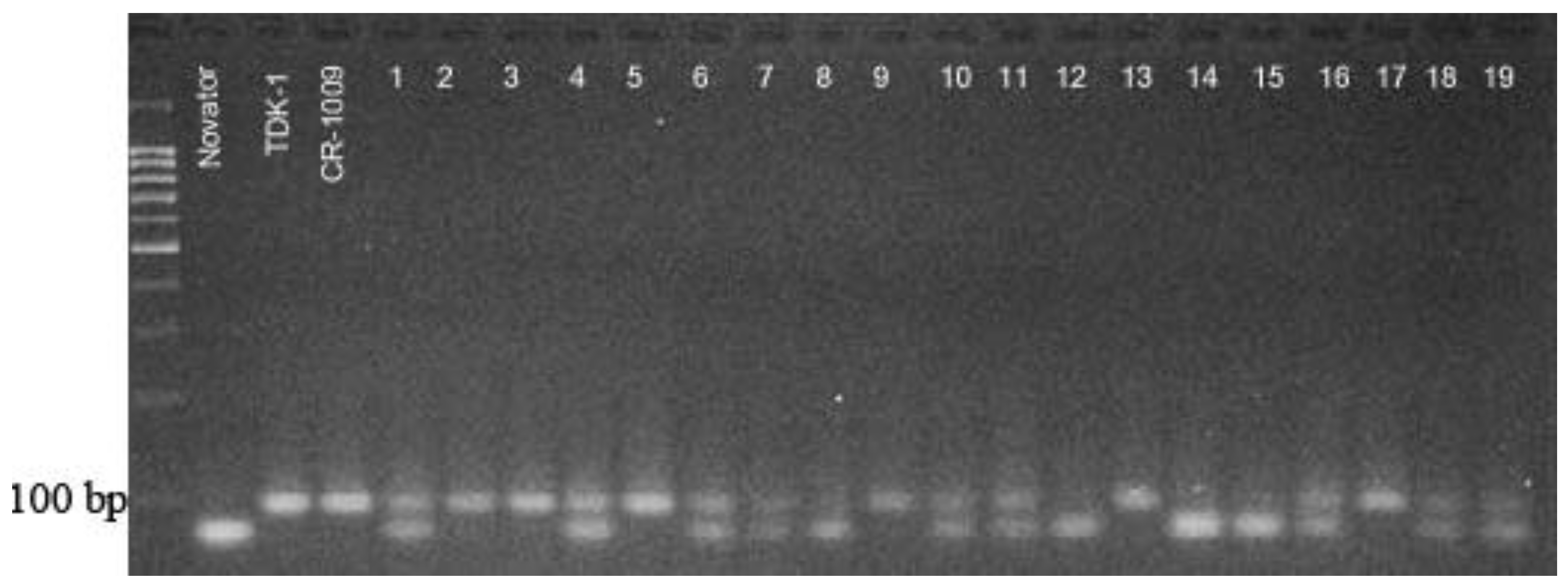 Plants 09 01580 g008