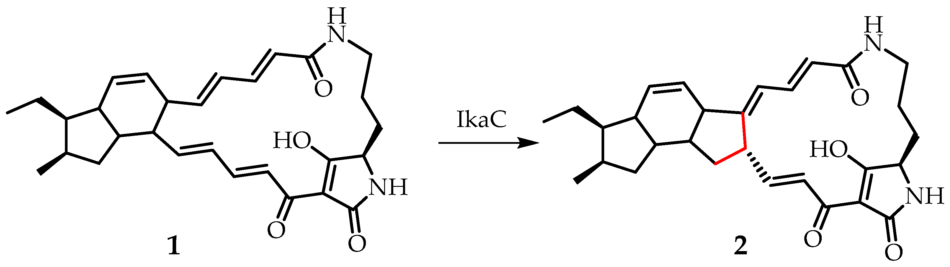 Plants 09 01582 g001