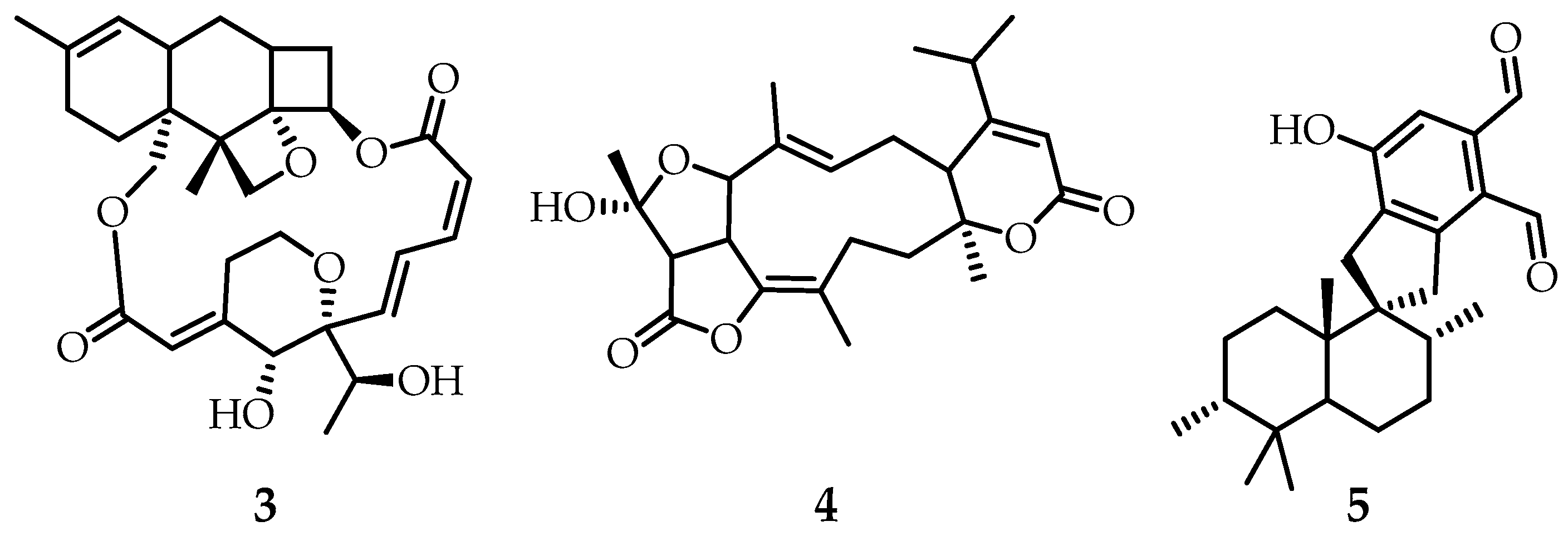 Plants 09 01582 g002