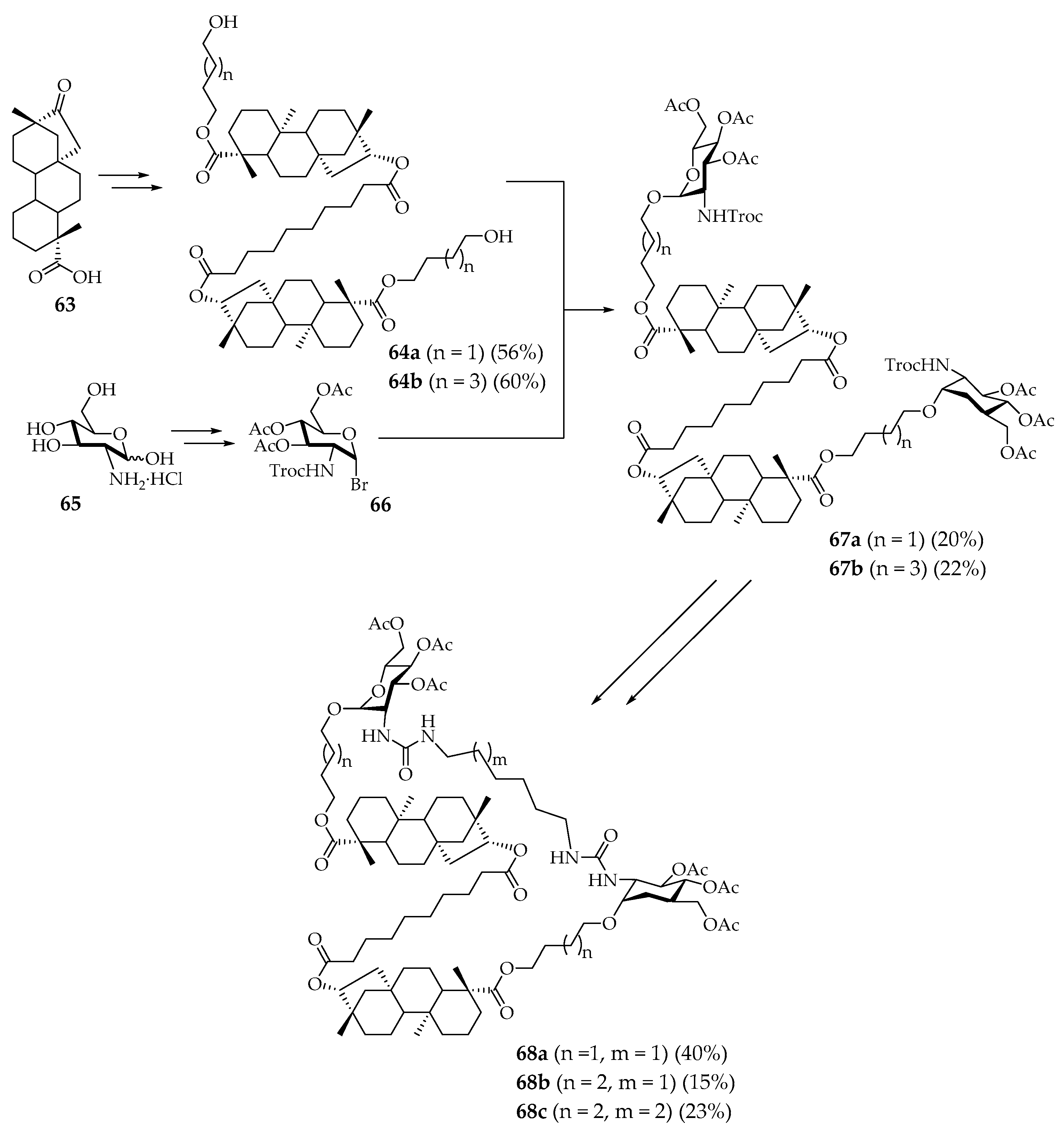 Plants 09 01582 sch010