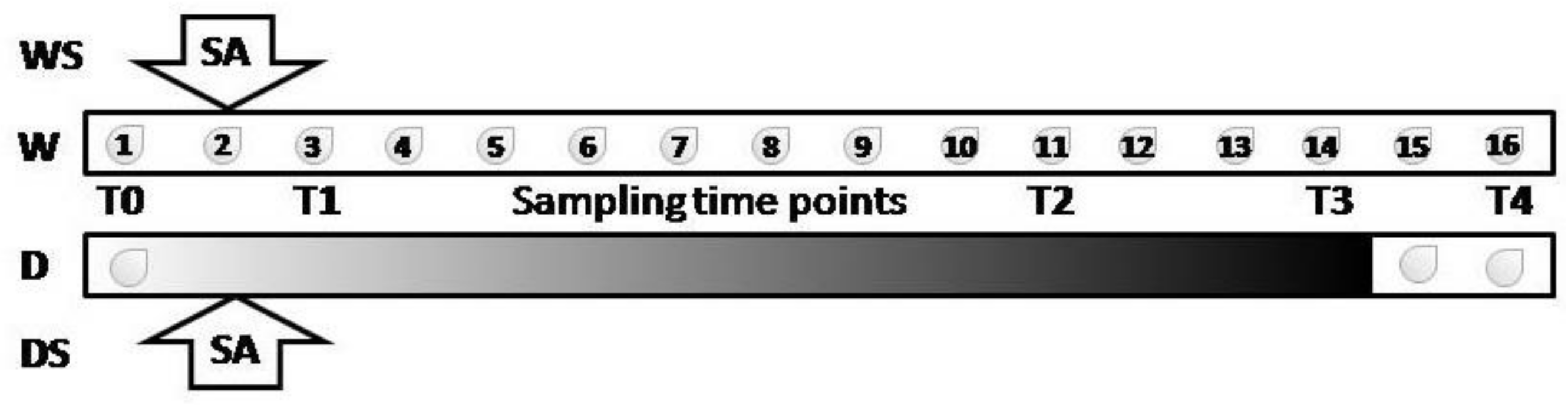 Plants 09 01589 g001