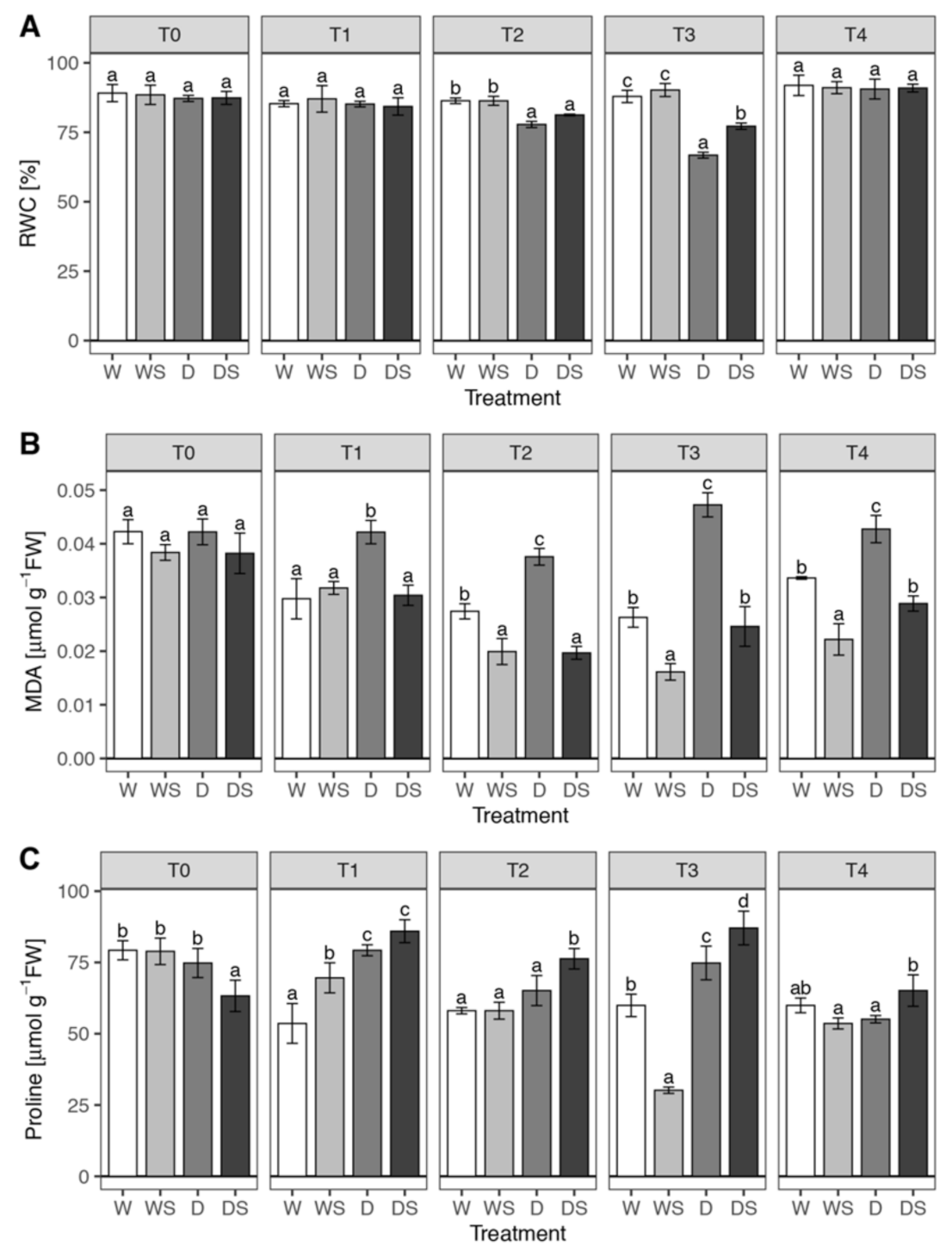 Plants 09 01589 g004