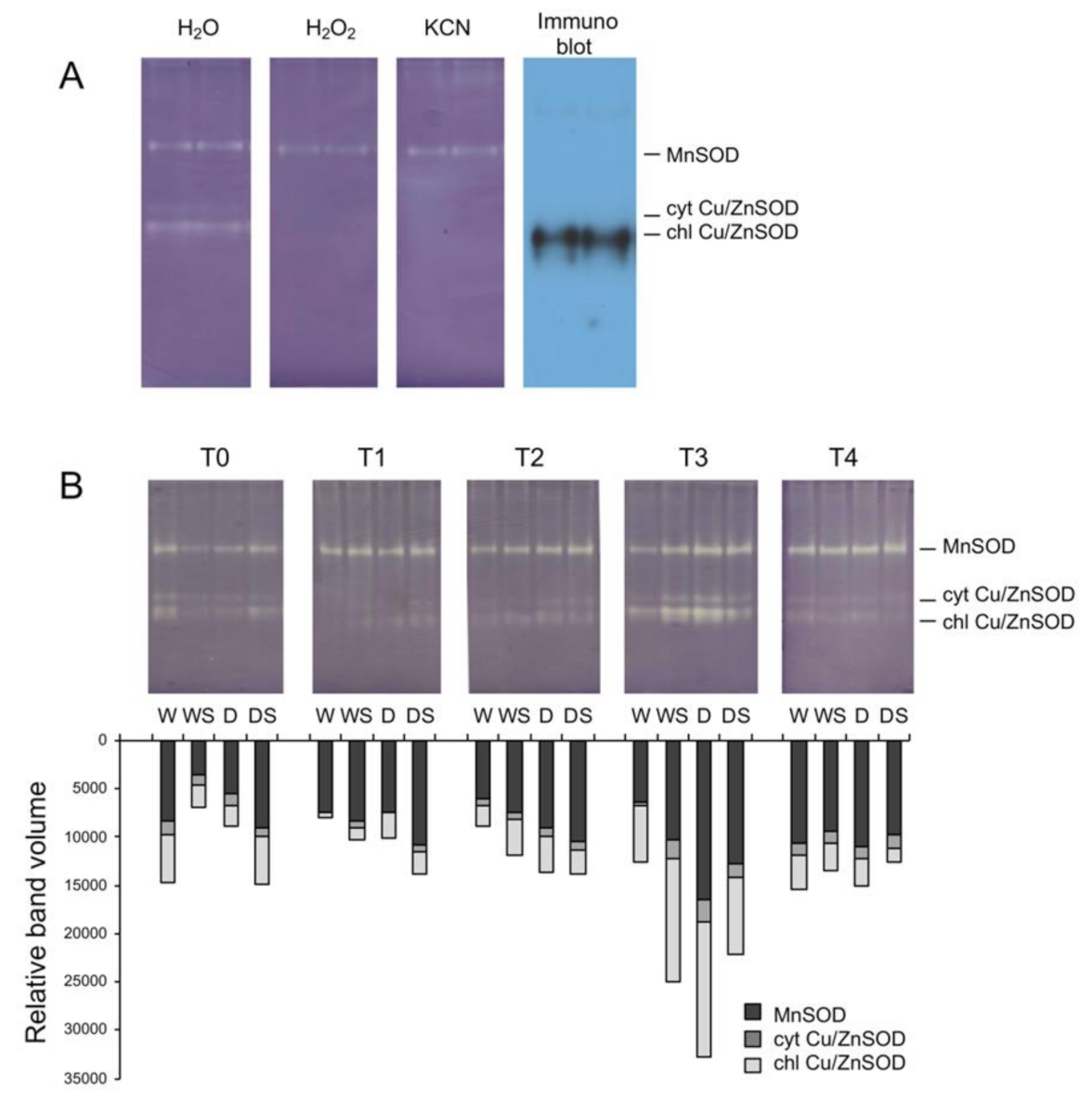 Plants 09 01589 g005