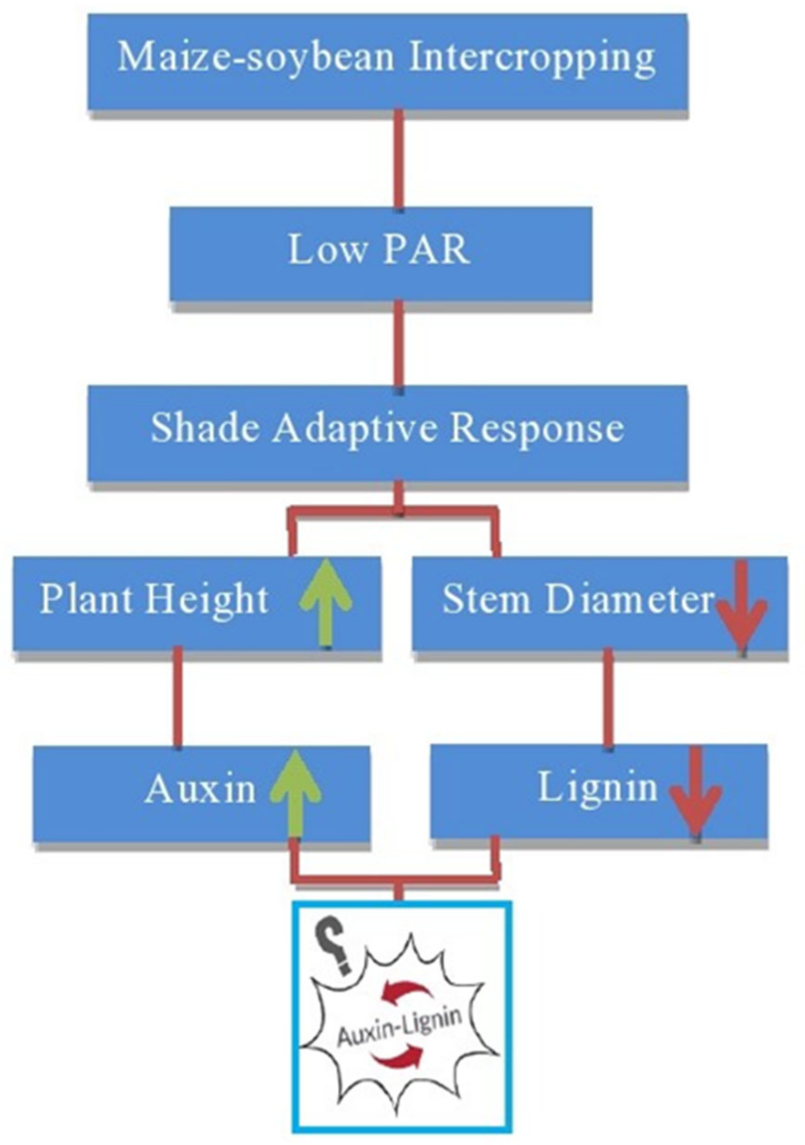 Plants 09 01592 g002
