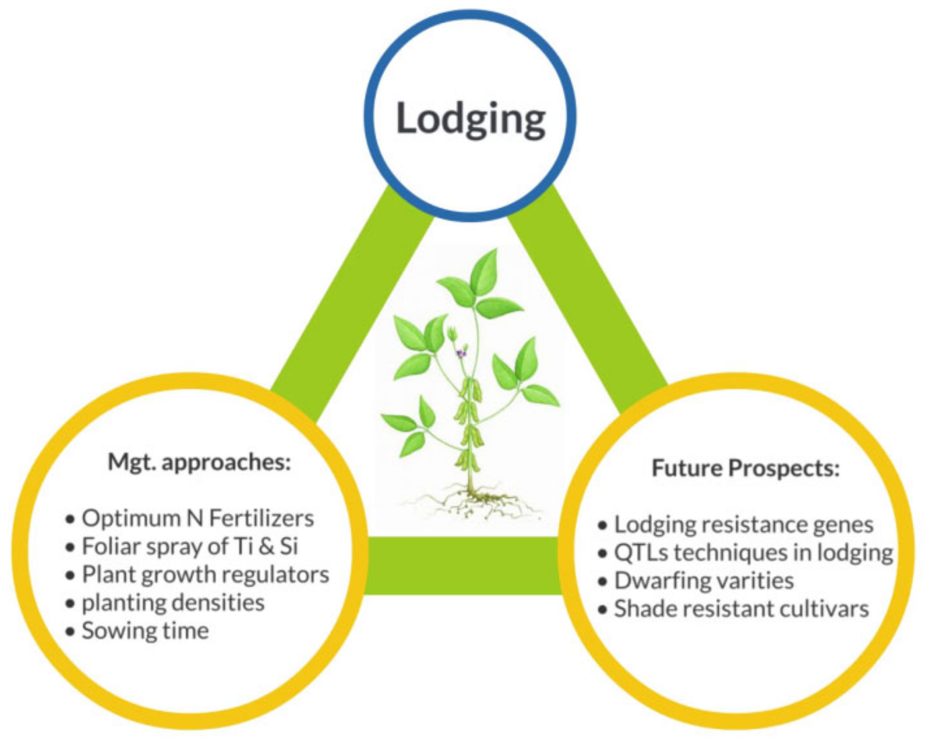 Plants 09 01592 g003