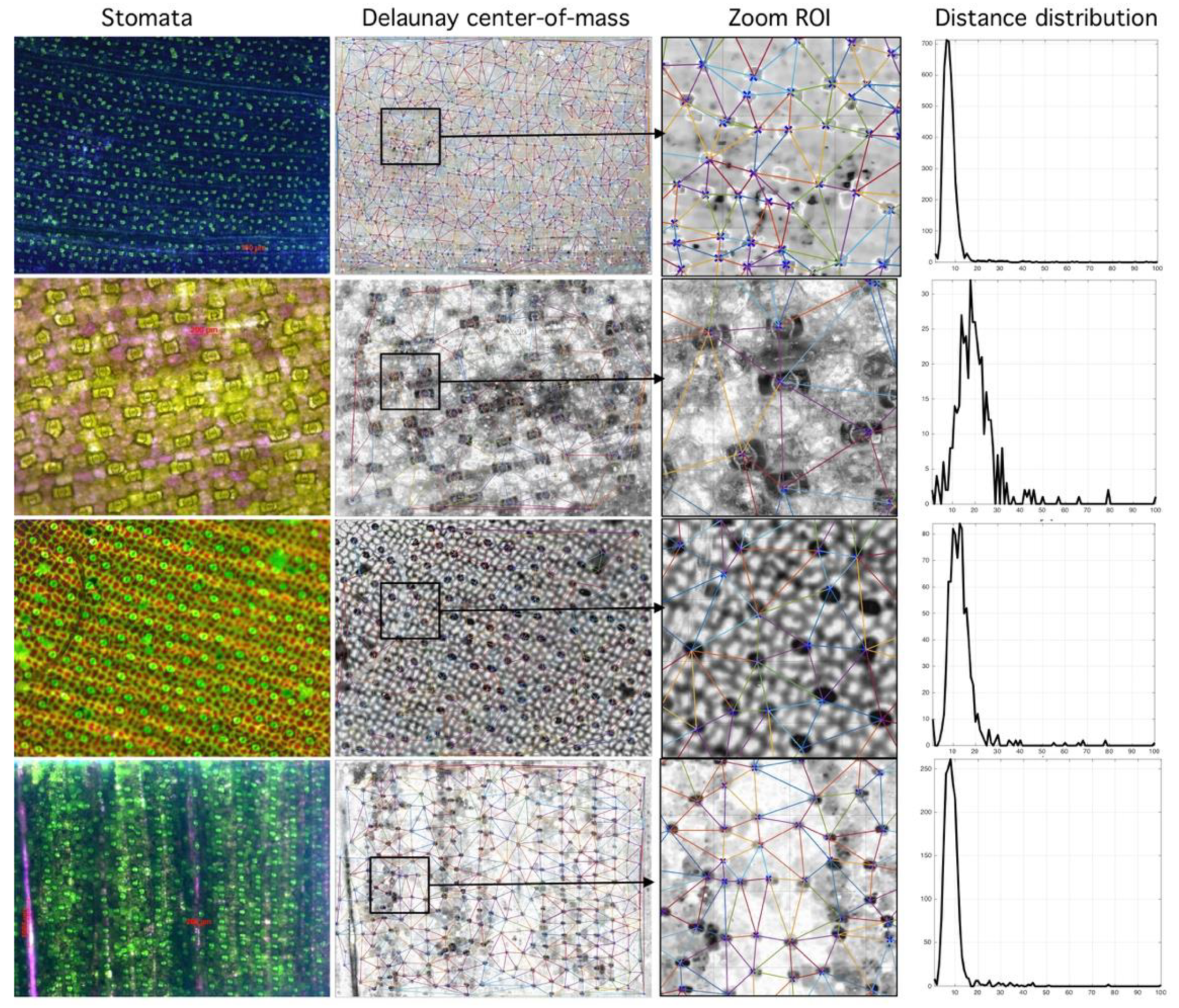 Plants 09 01613 g007 Plants 09 01613 g007