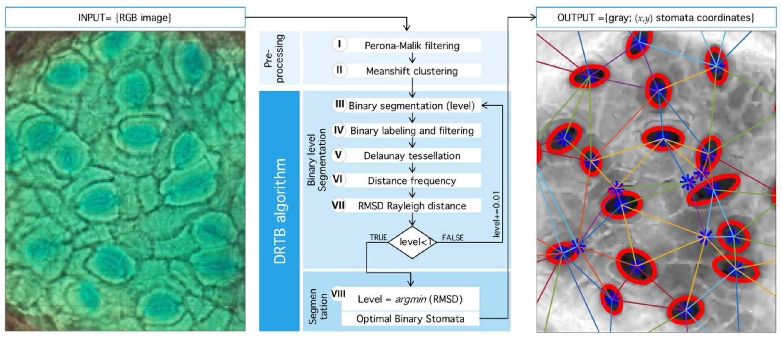 Plants 09 01613 g009 Plants 09 01613 g009