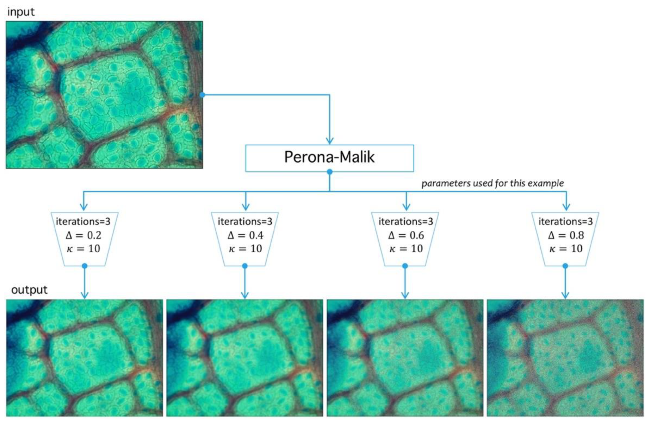 Plants 09 01613 g010 Plants 09 01613 g010