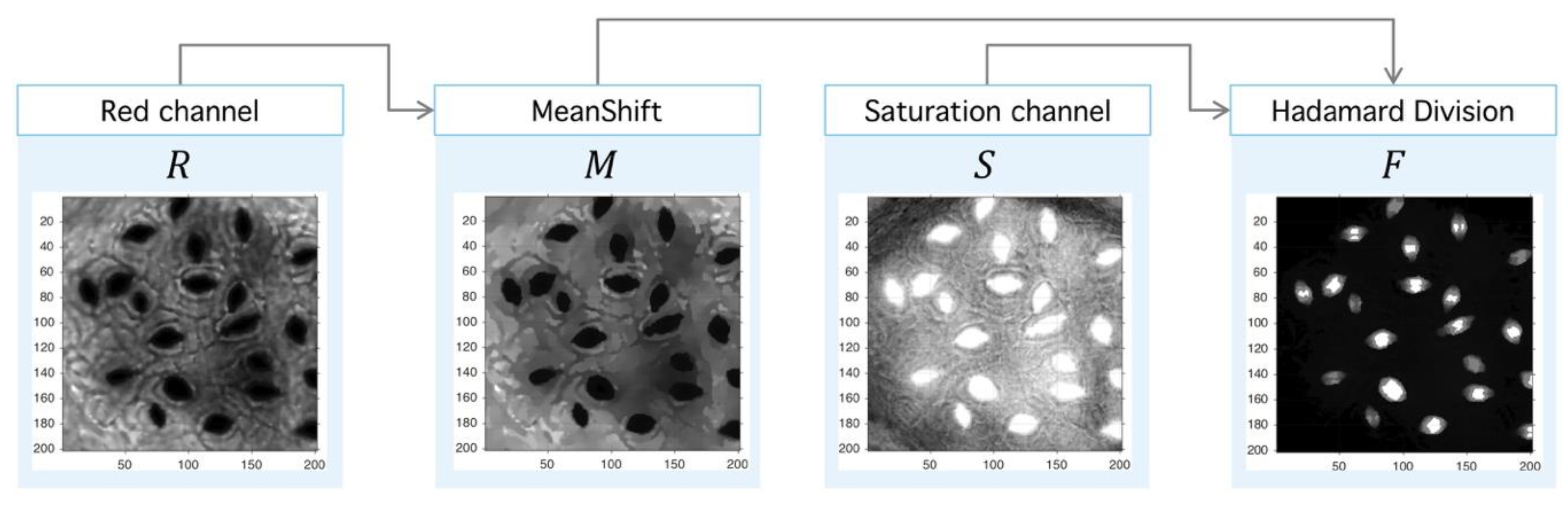 Plants 09 01613 g012 Plants 09 01613 g012