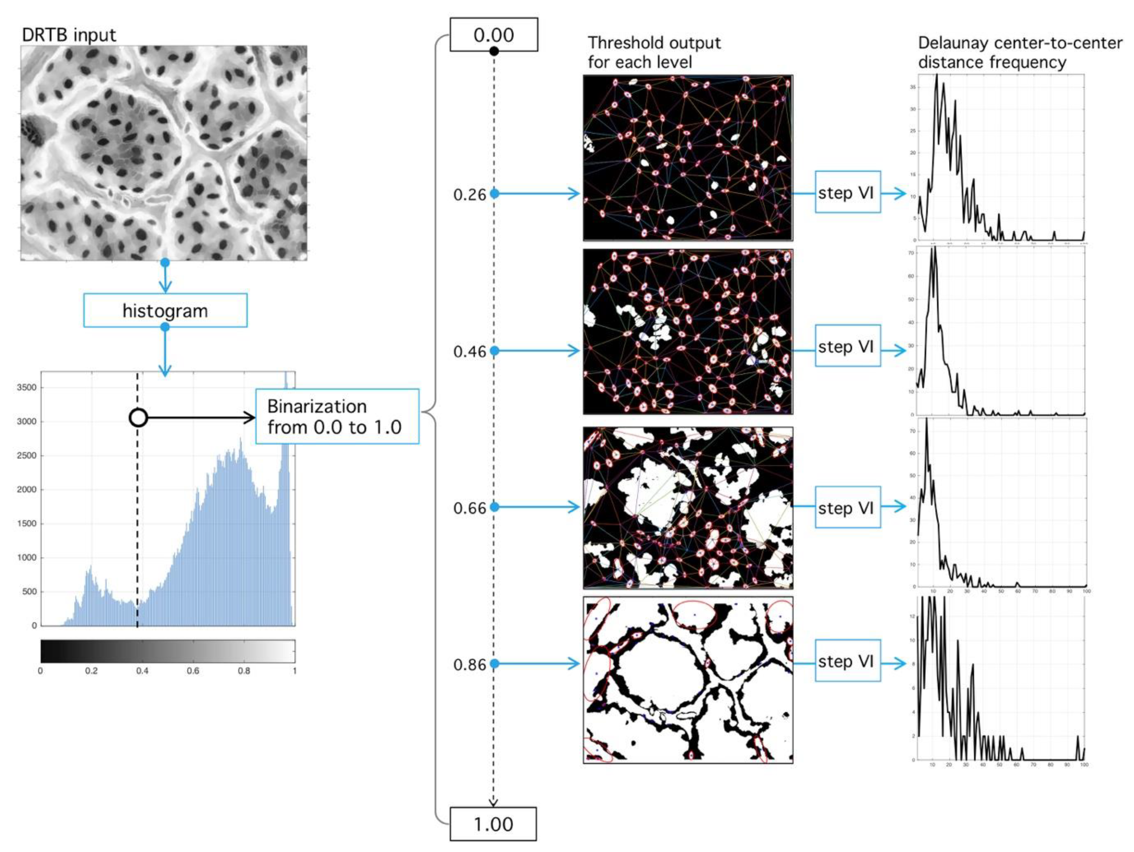 Plants 09 01613 g013 Plants 09 01613 g013
