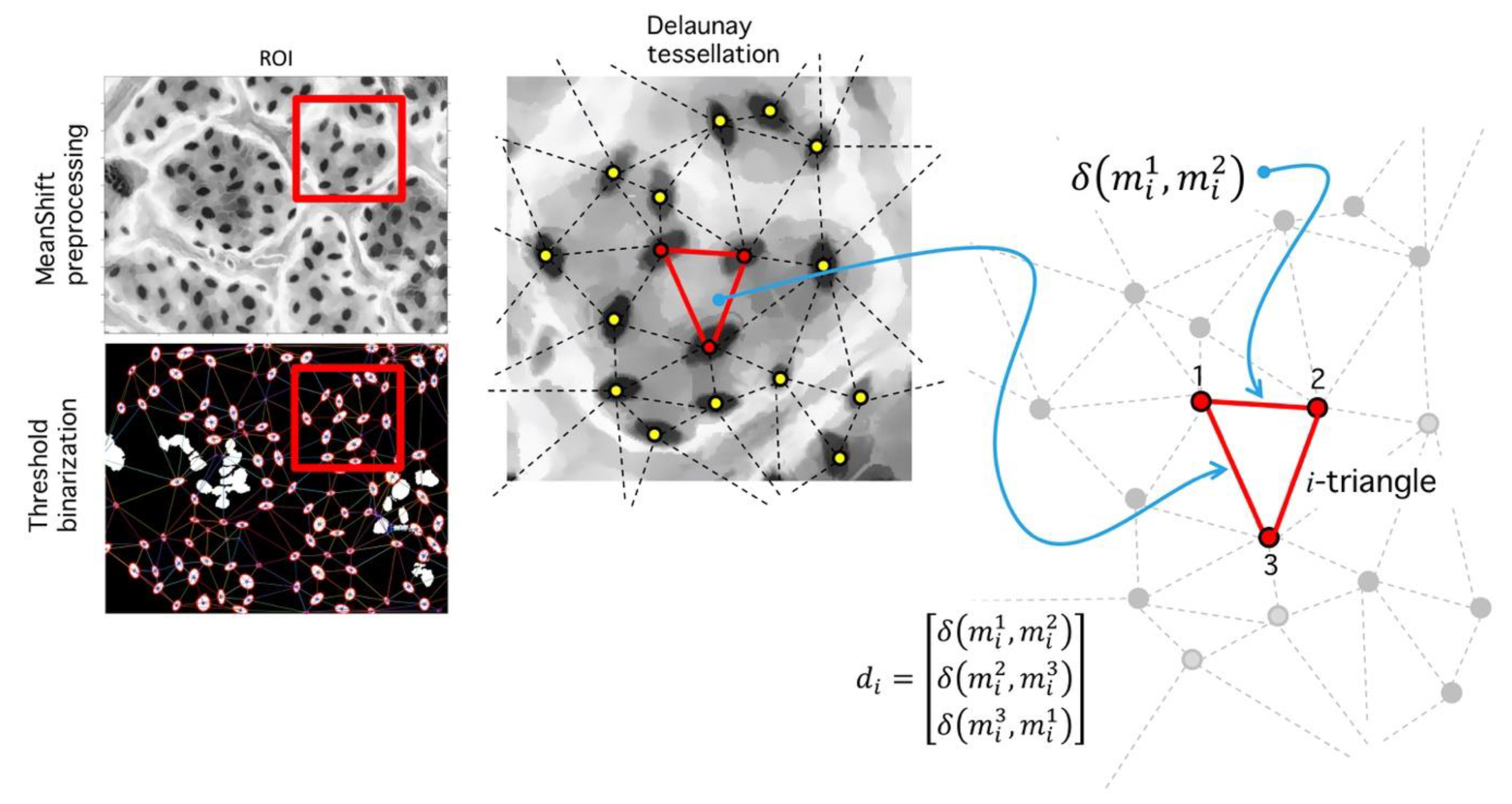Plants 09 01613 g014 Plants 09 01613 g014
