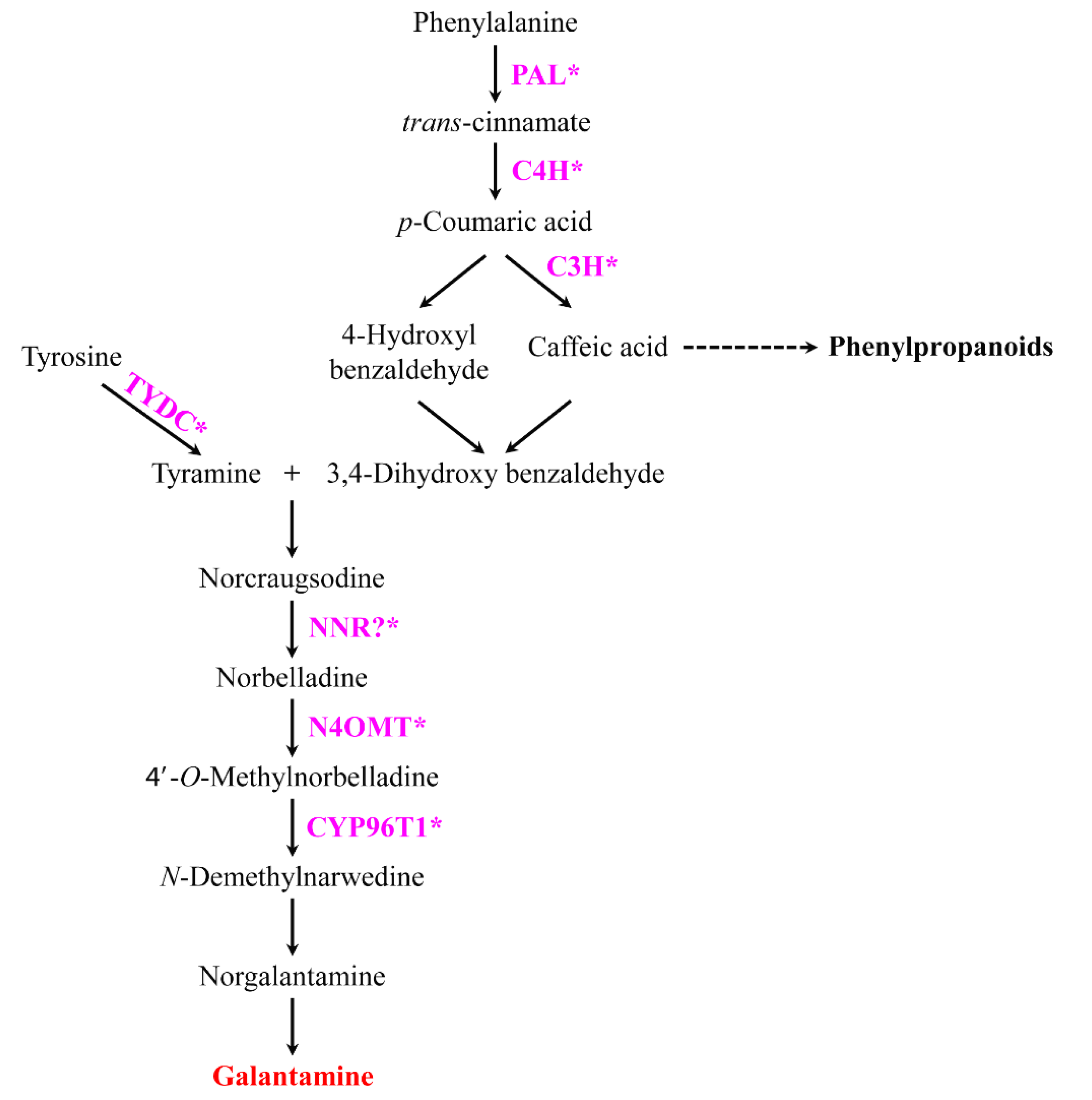 Plants 09 01616 g001 Plants 09 01616 g001