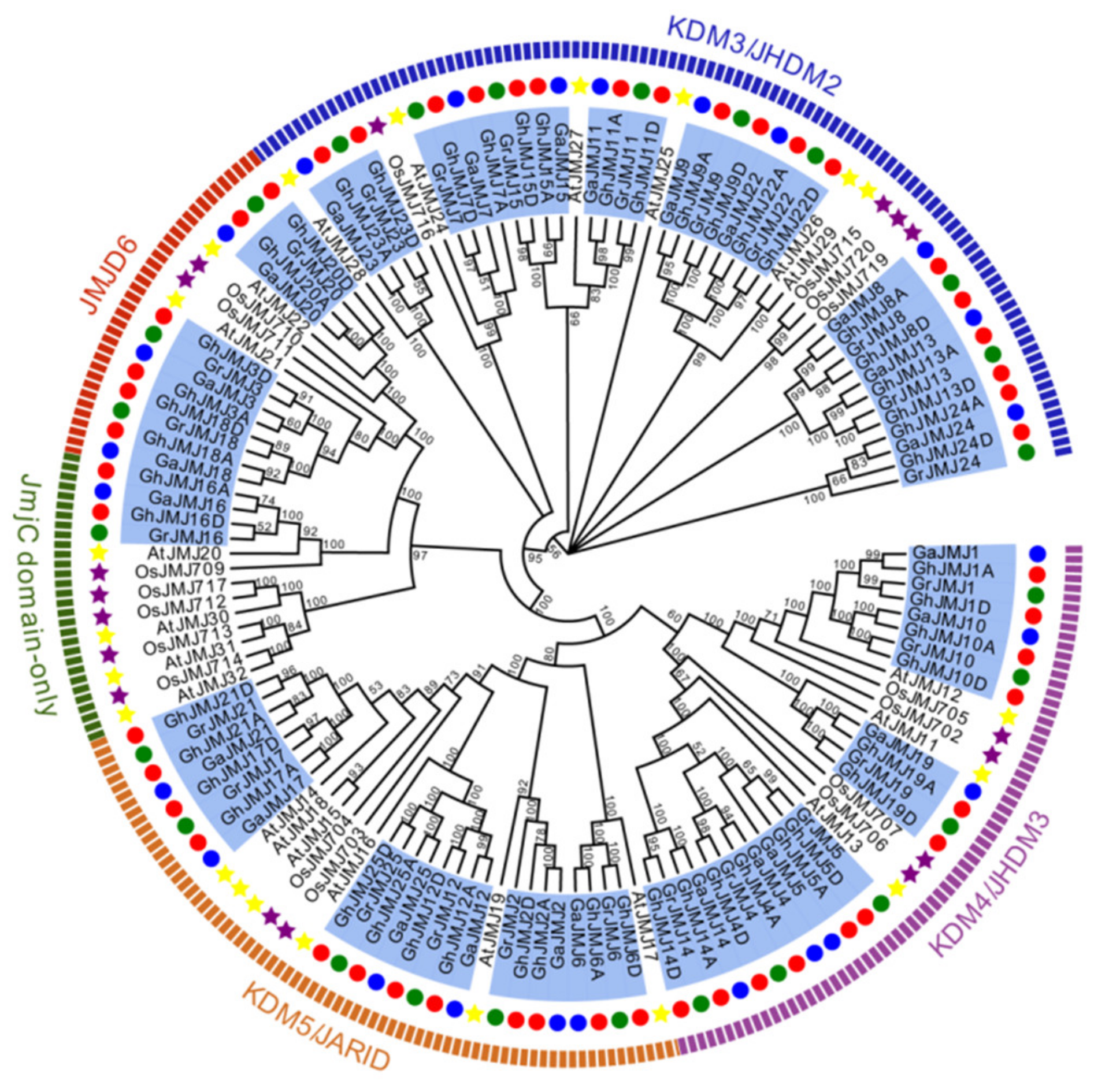 Plants 09 01617 g001 Plants 09 01617 g001