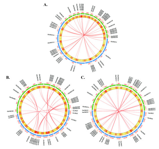 Plants | Special Issue : Polyploidy and Evolution in Plants