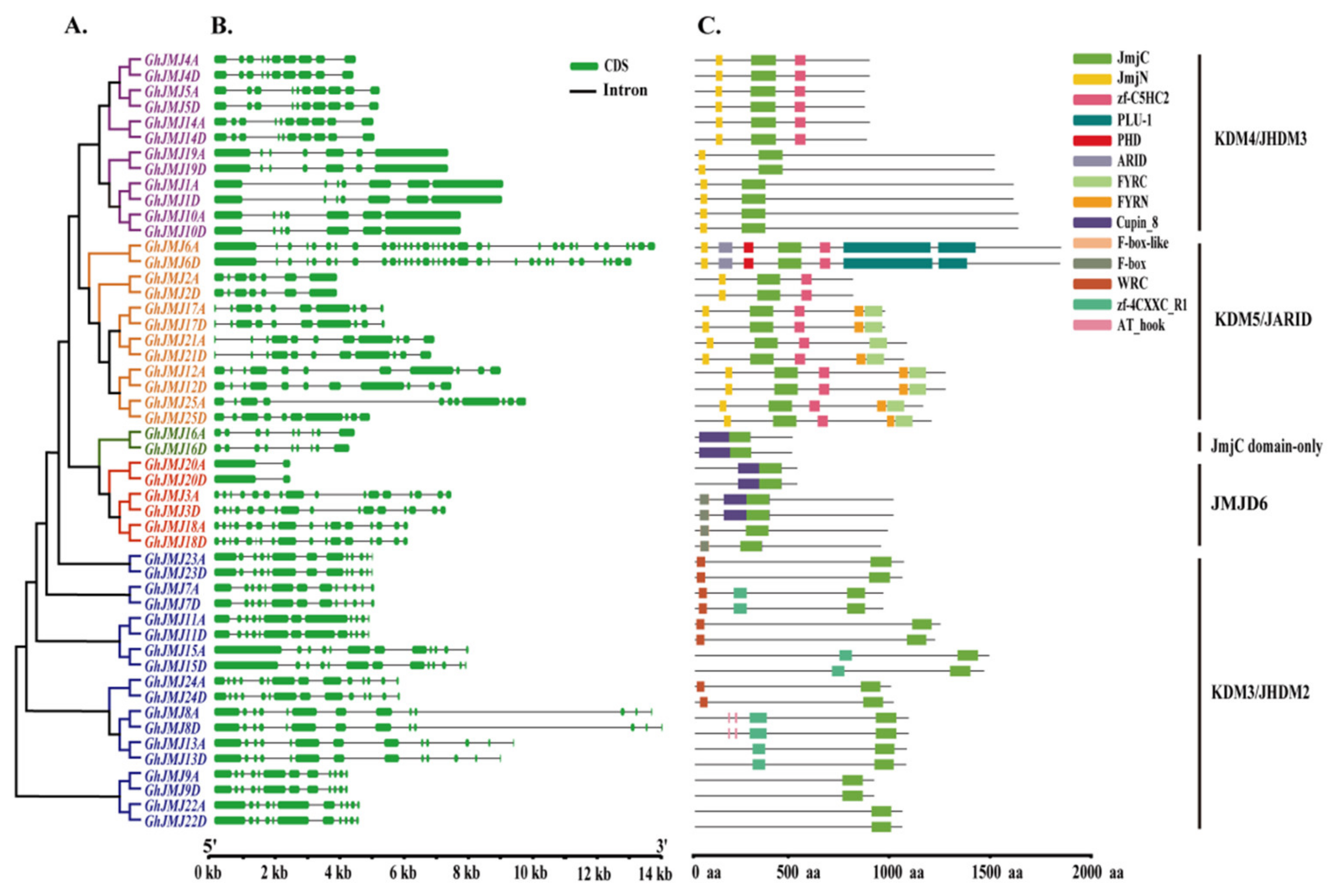 Plants 09 01617 g003 Plants 09 01617 g003