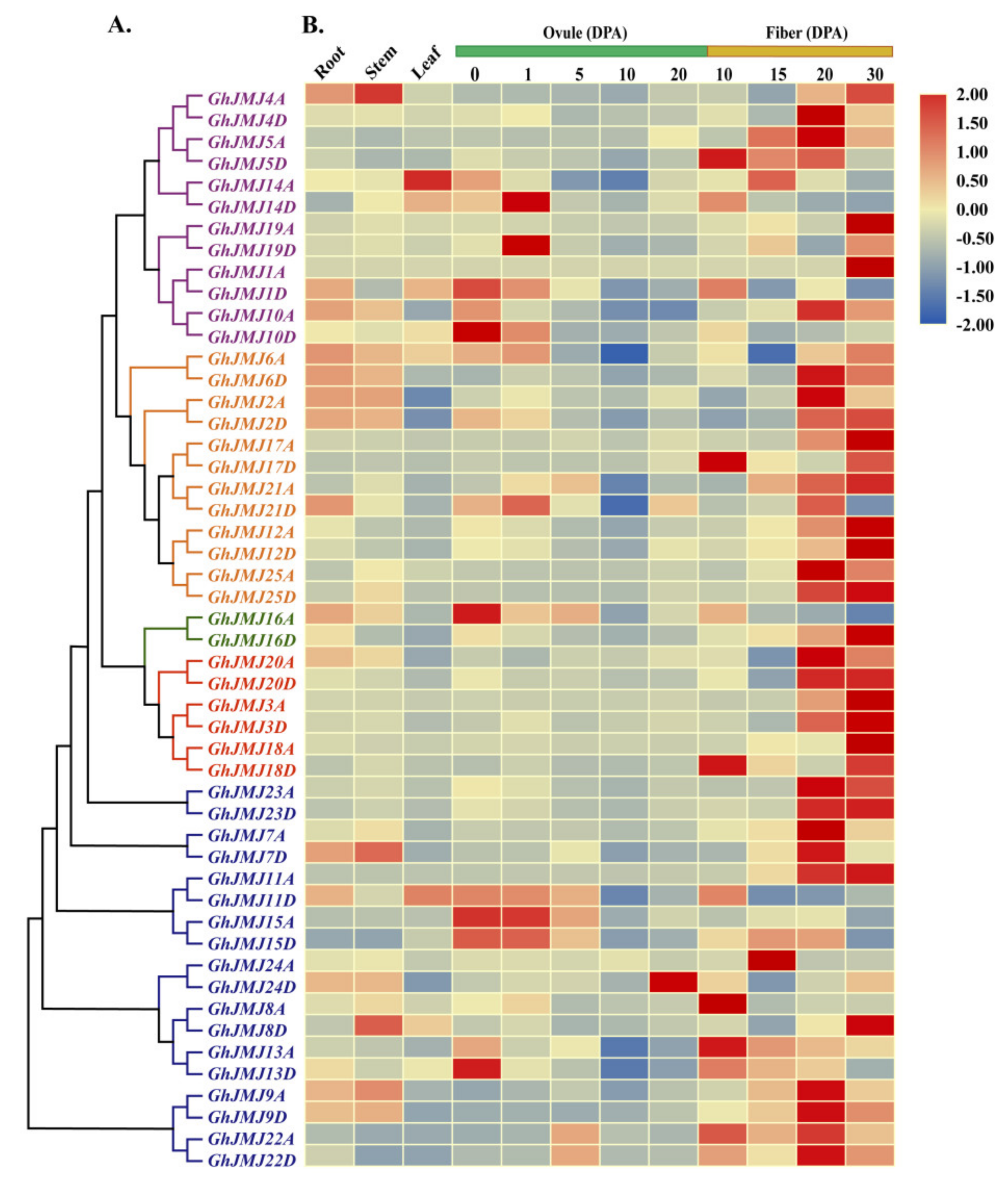 Plants 09 01617 g005 Plants 09 01617 g005