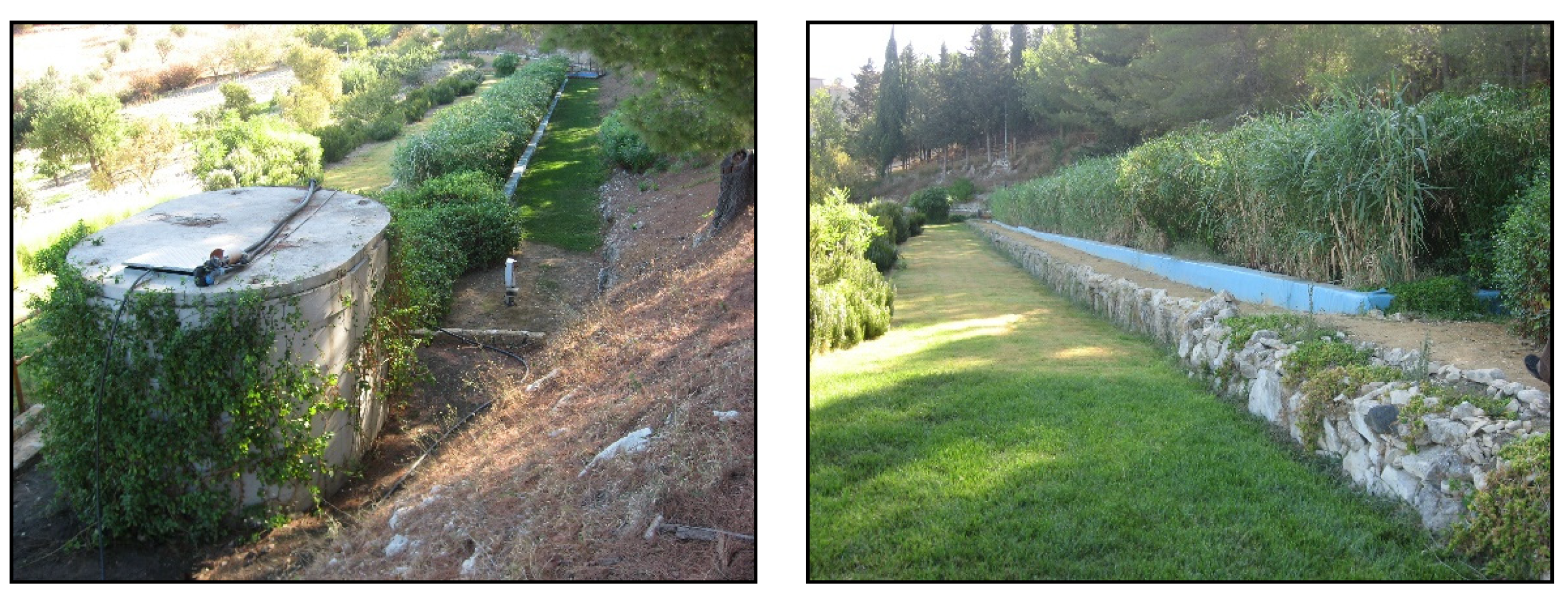 Plants 09 01618 g003 Plants 09 01618 g003