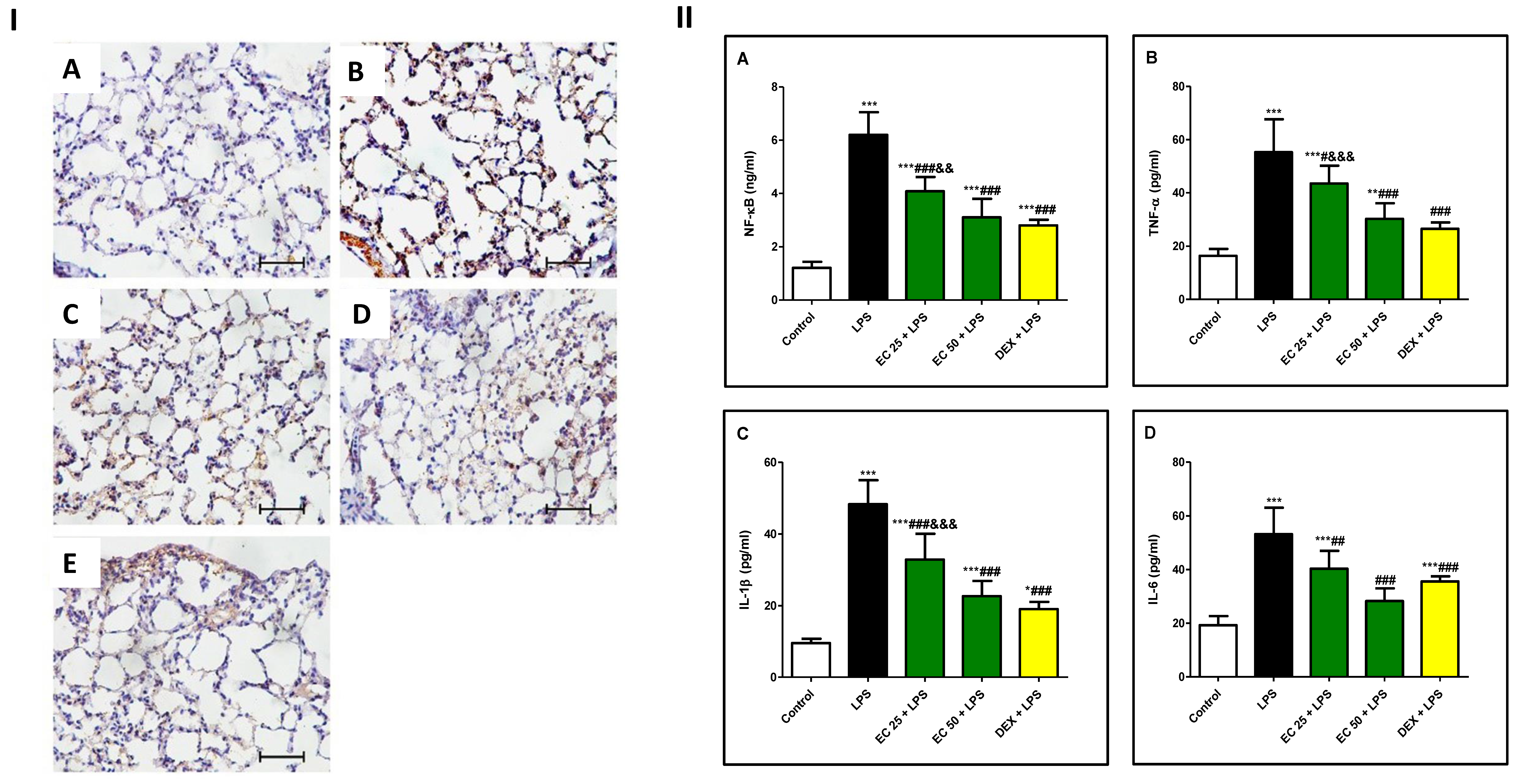 Plants 09 01620 g006