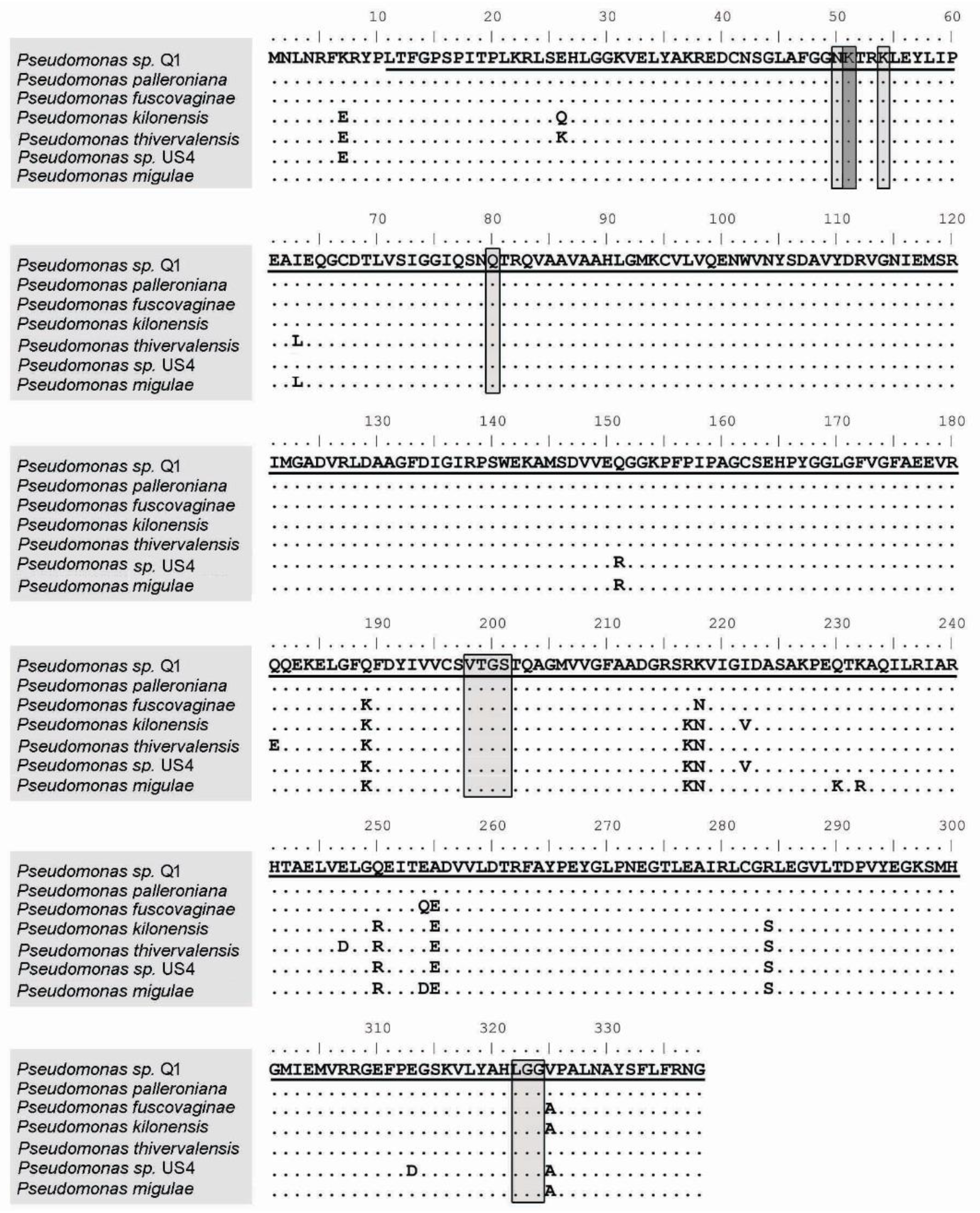 Plants 09 01630 g001 Plants 09 01630 g001