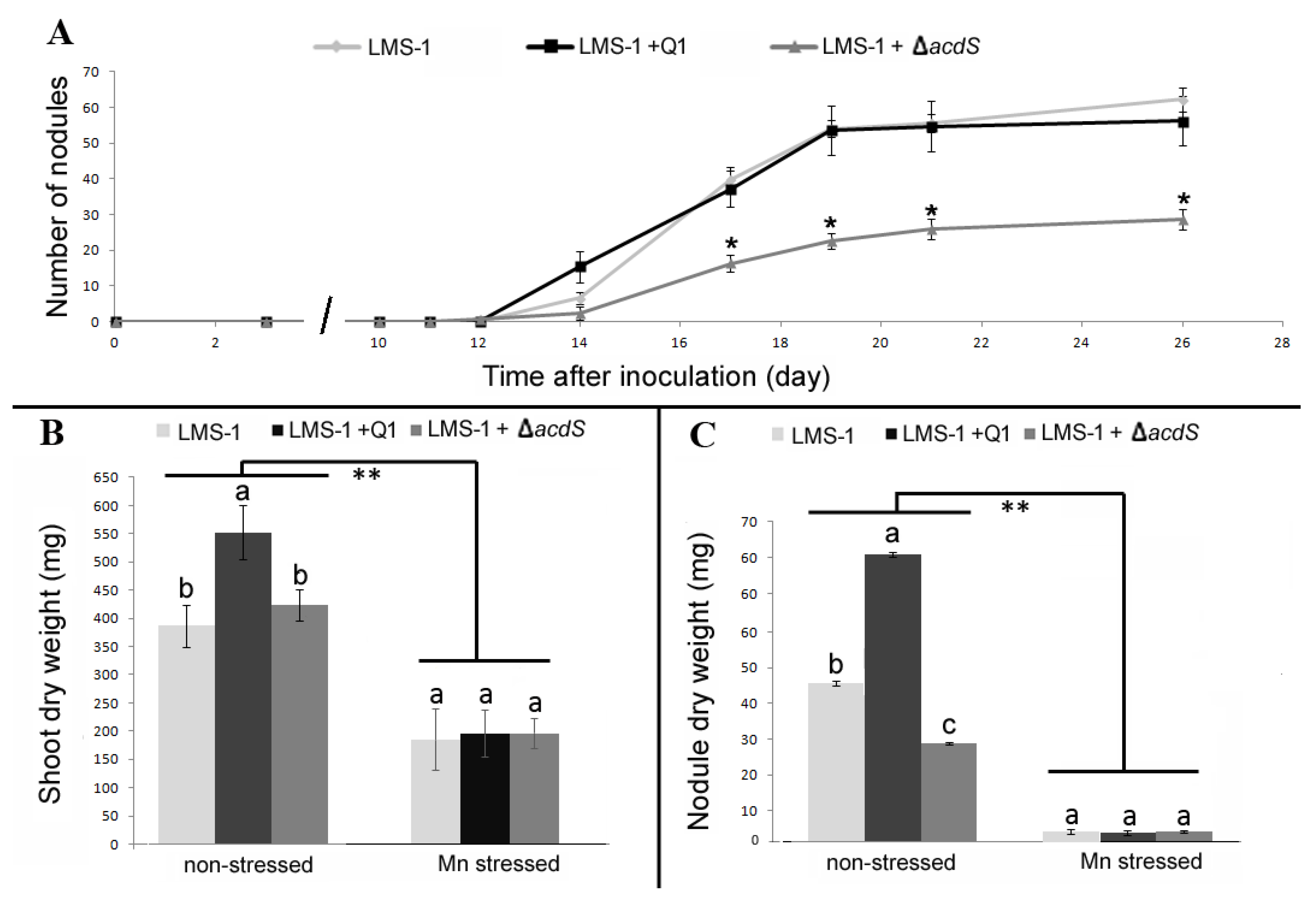 Plants 09 01630 g004 Plants 09 01630 g004
